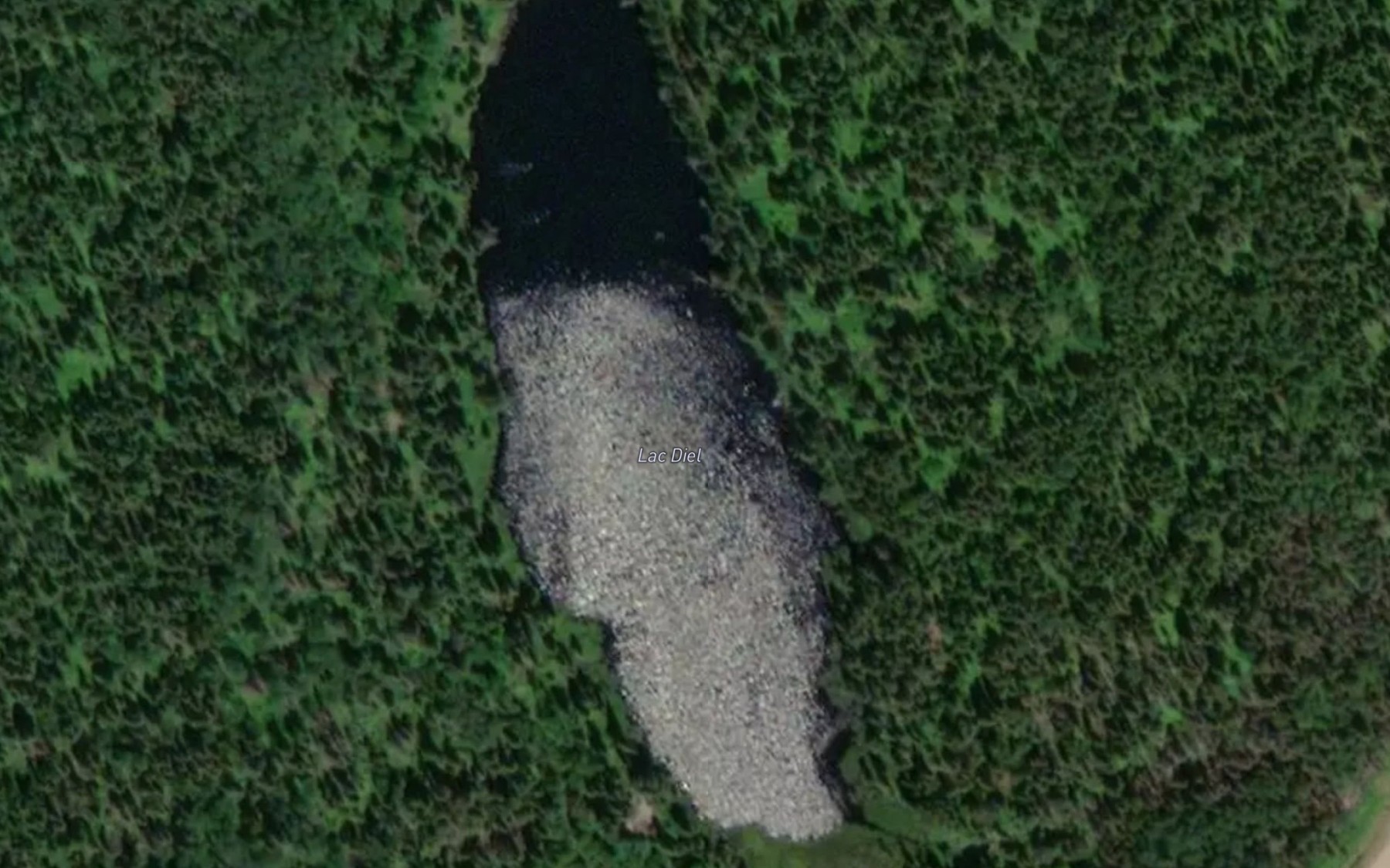 Satellite map of the Lac Diel