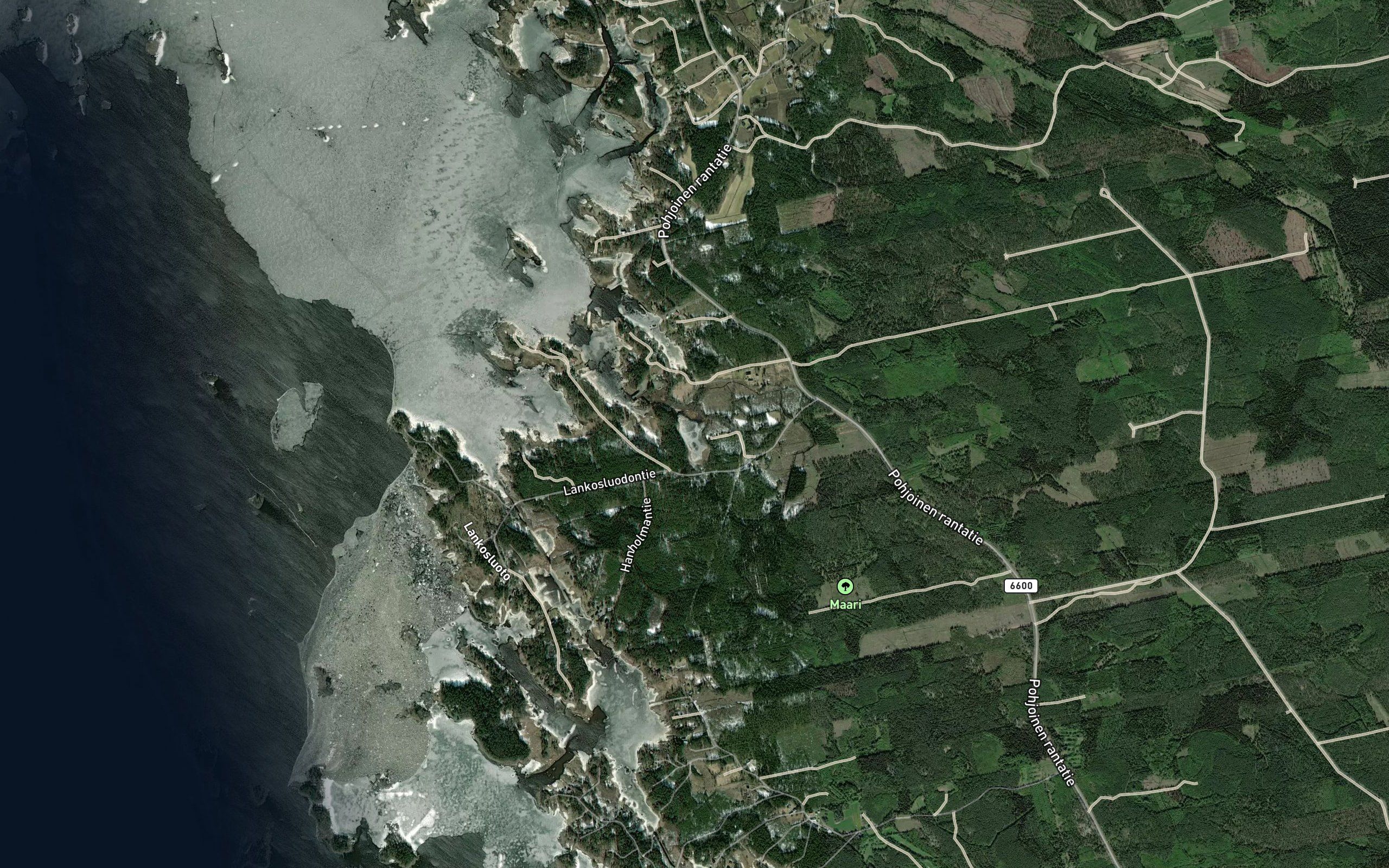 Laajinviiki