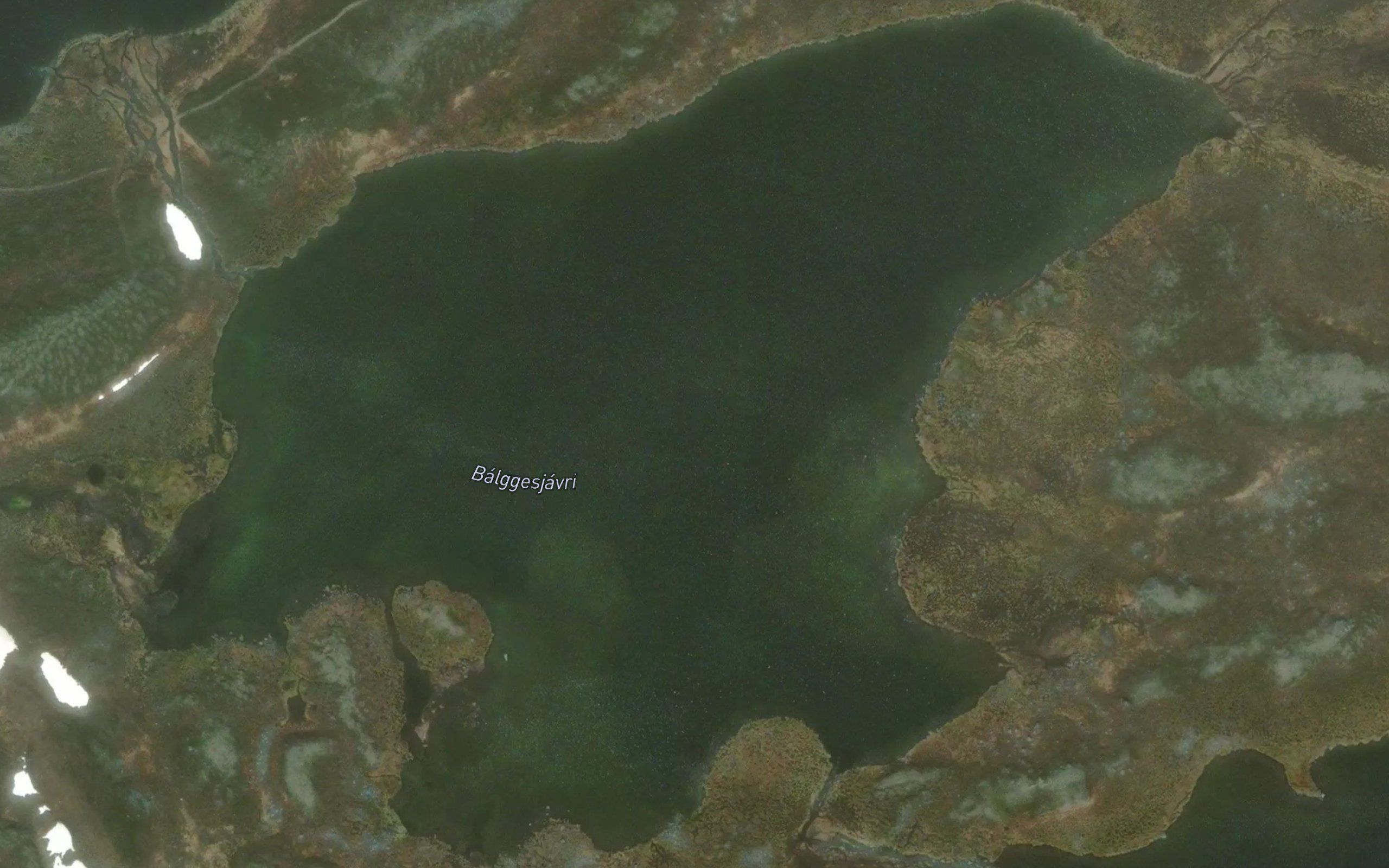 Balgesjavri
