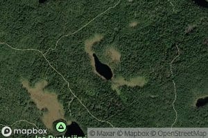 Heinalammi