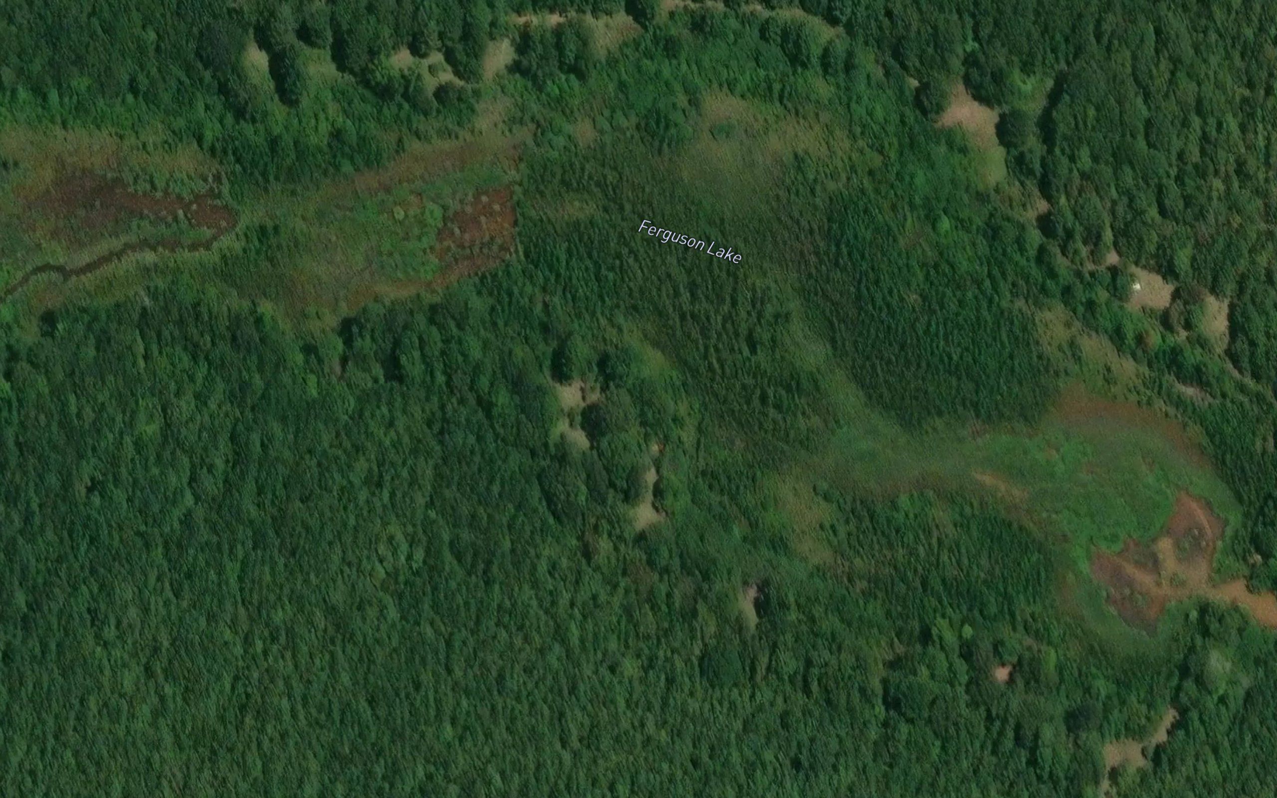 Ferguson Lake