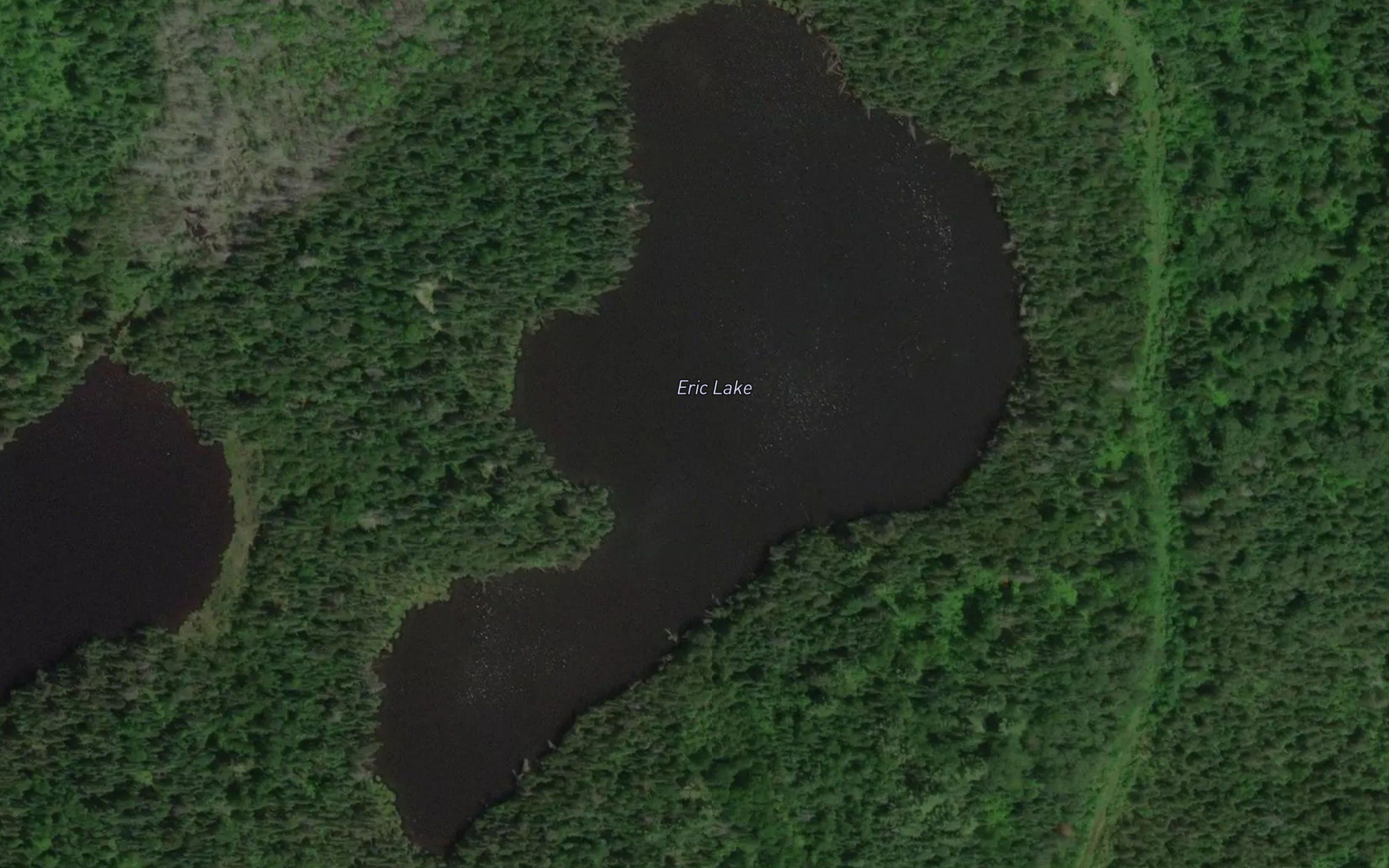 Eric Lake