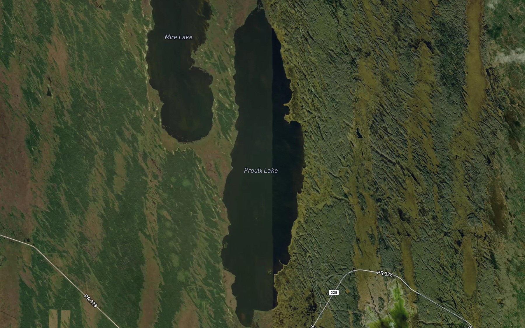 Satellite map of the Proulx Lake