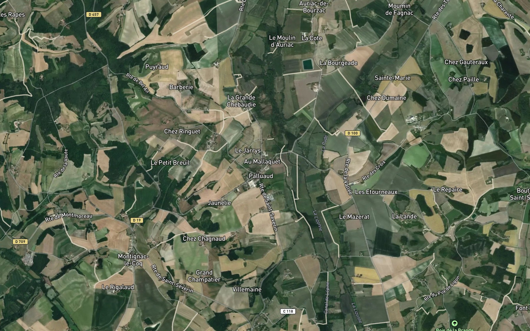 Satellite map of the Pude