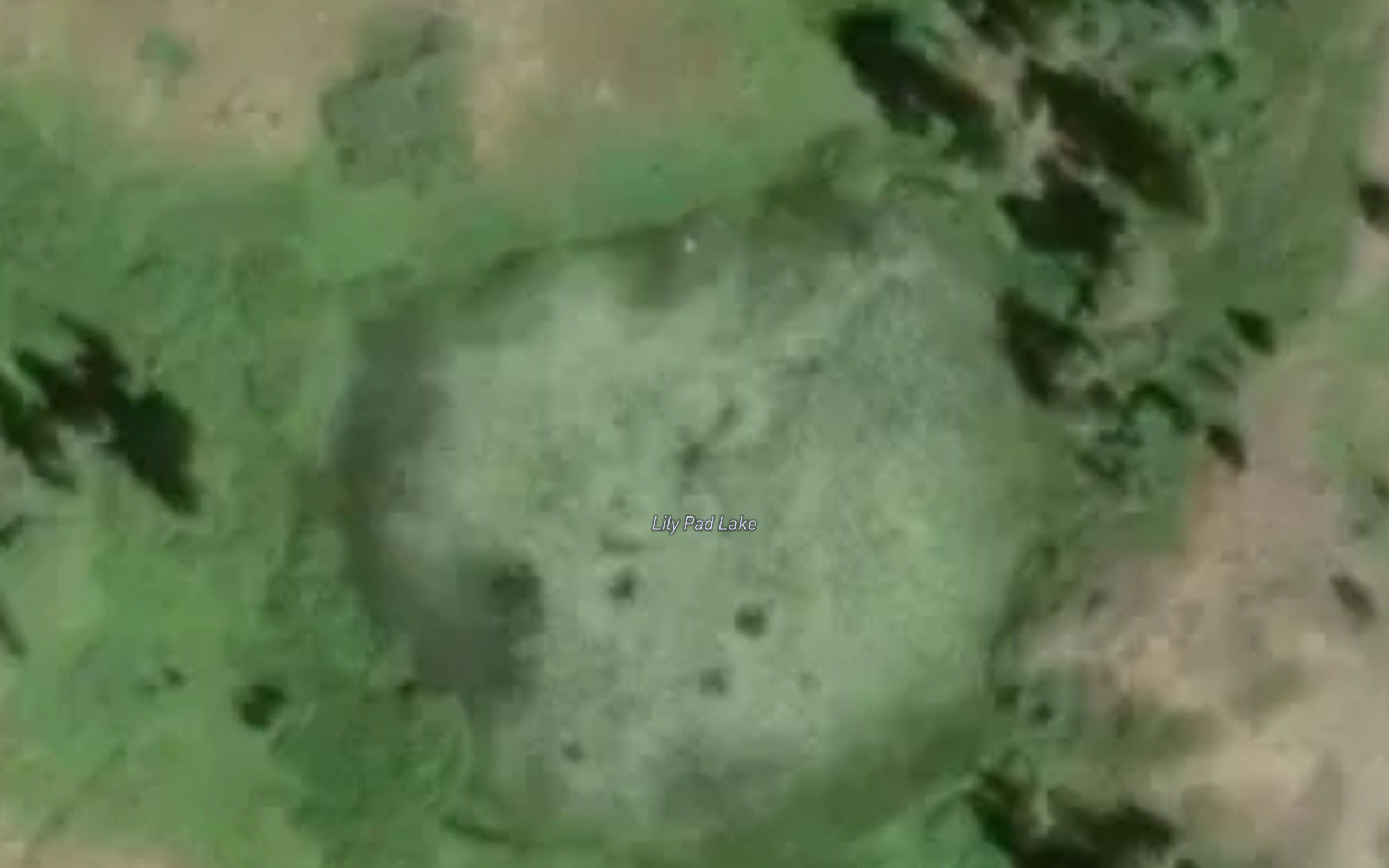 Lily Pad Lake