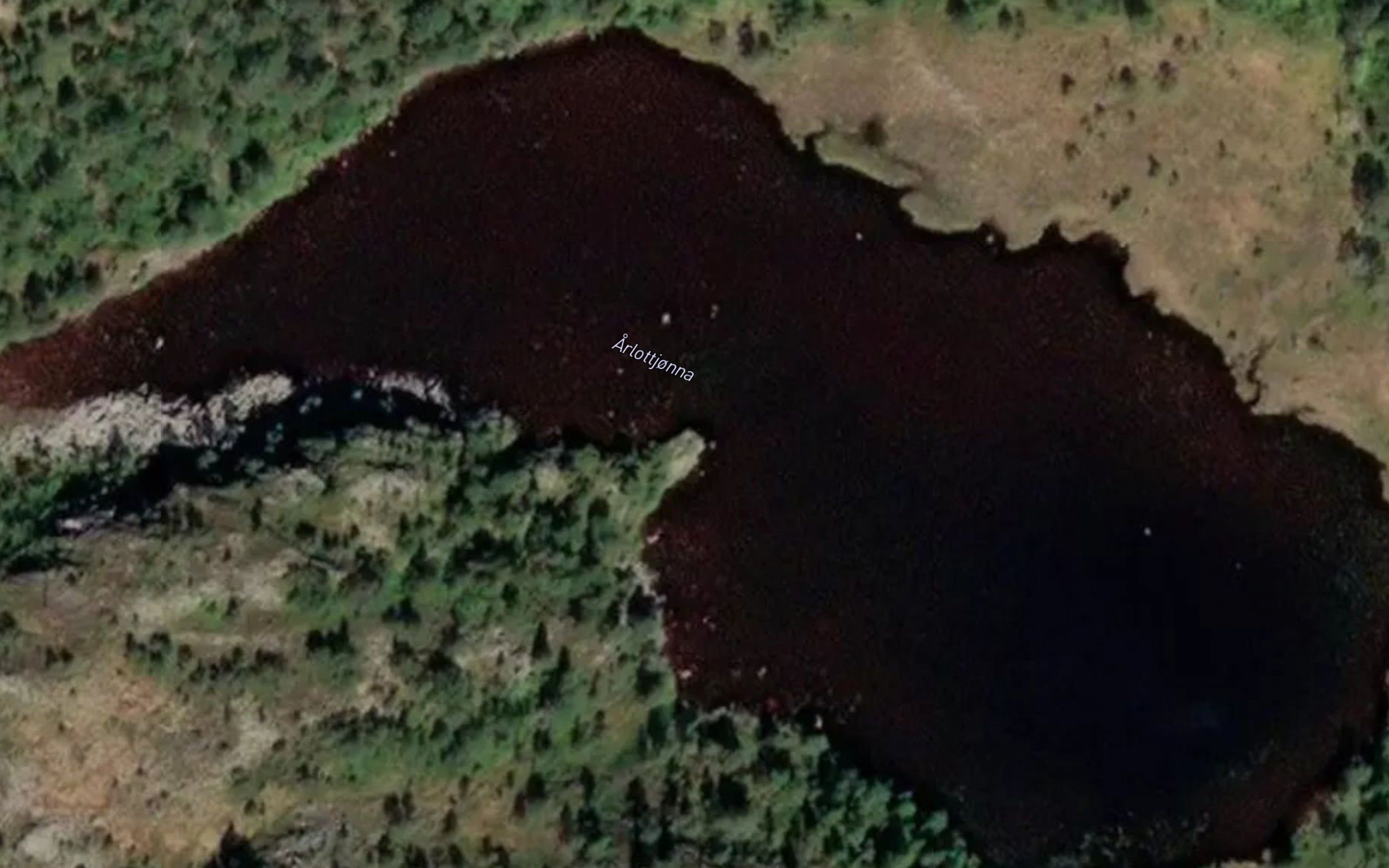 Arlottjorna