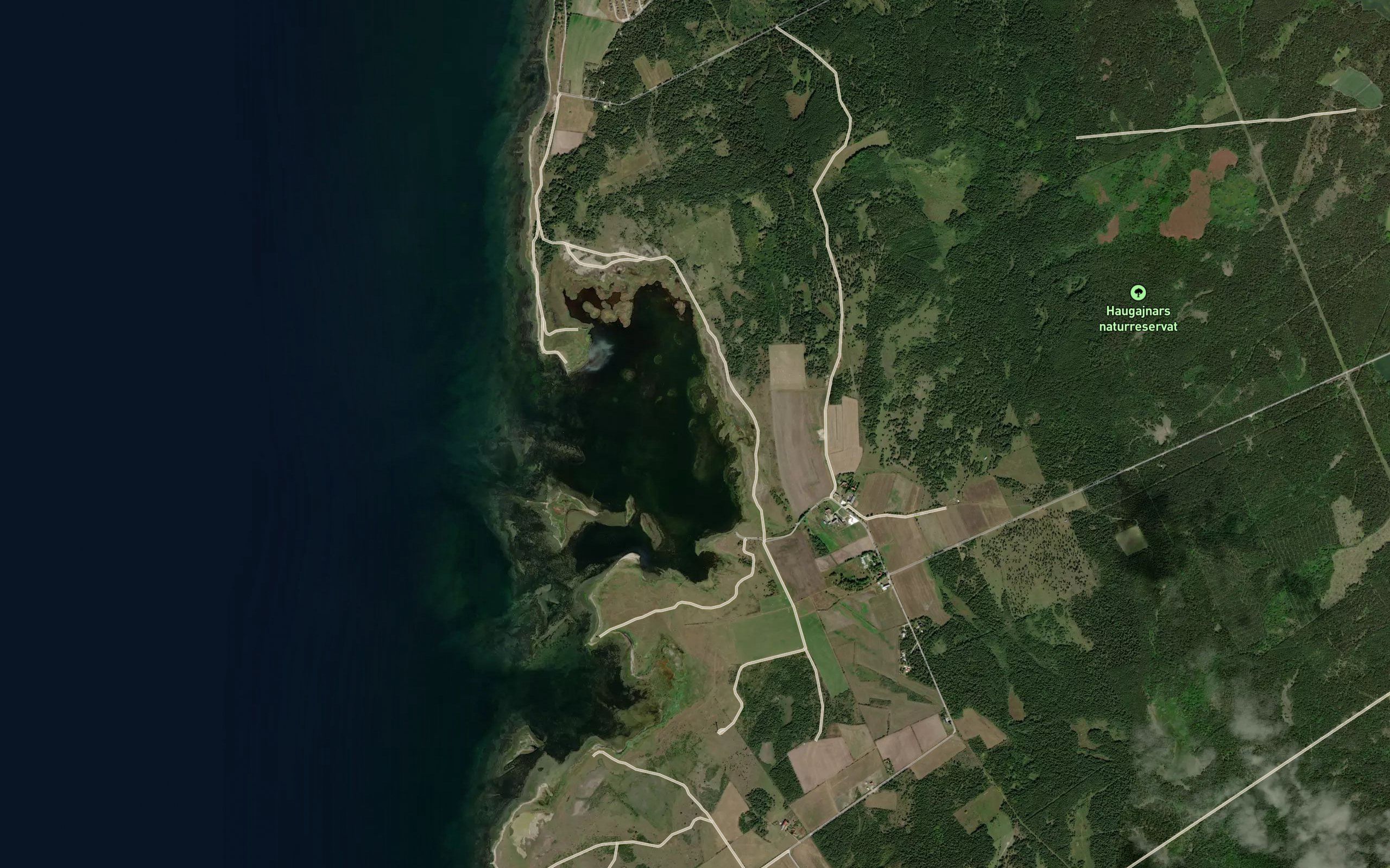 Petesvik