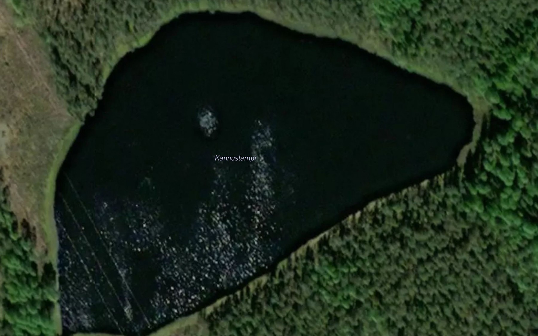 Satellite map of the Kannuslampi
