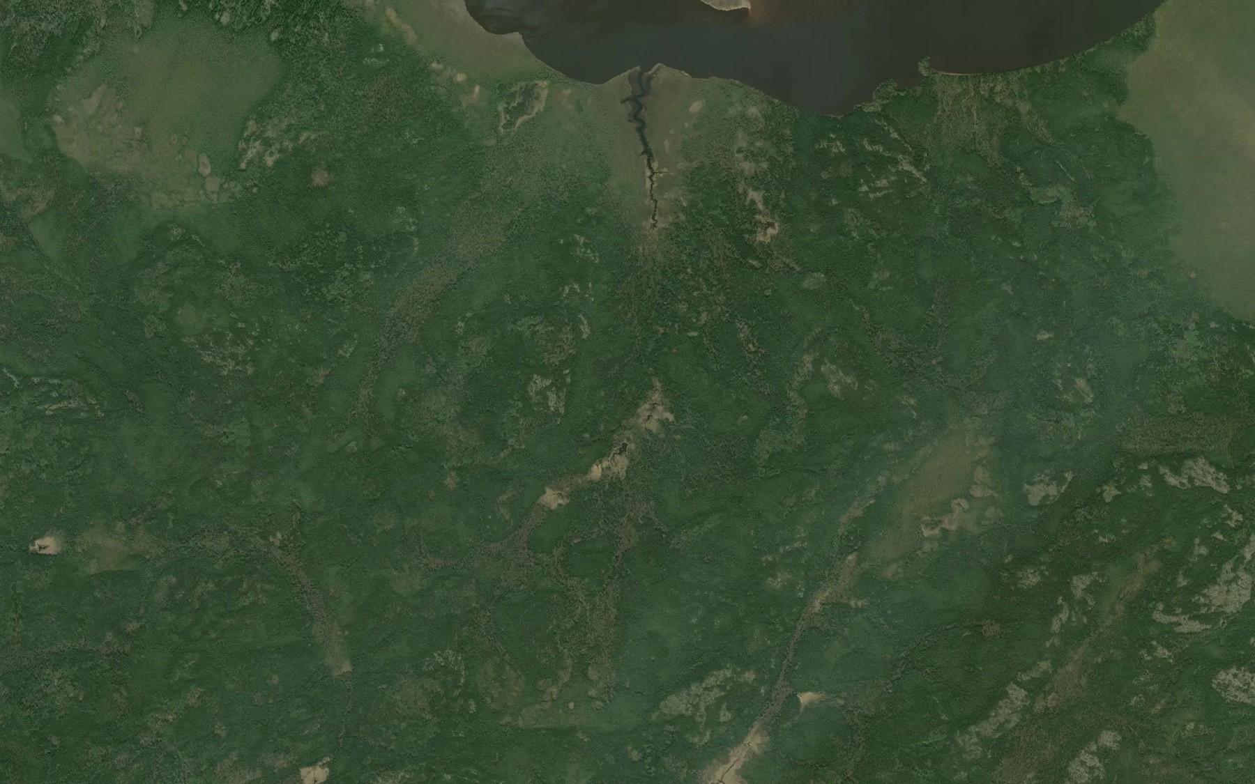 Satellite map of the Dawson River