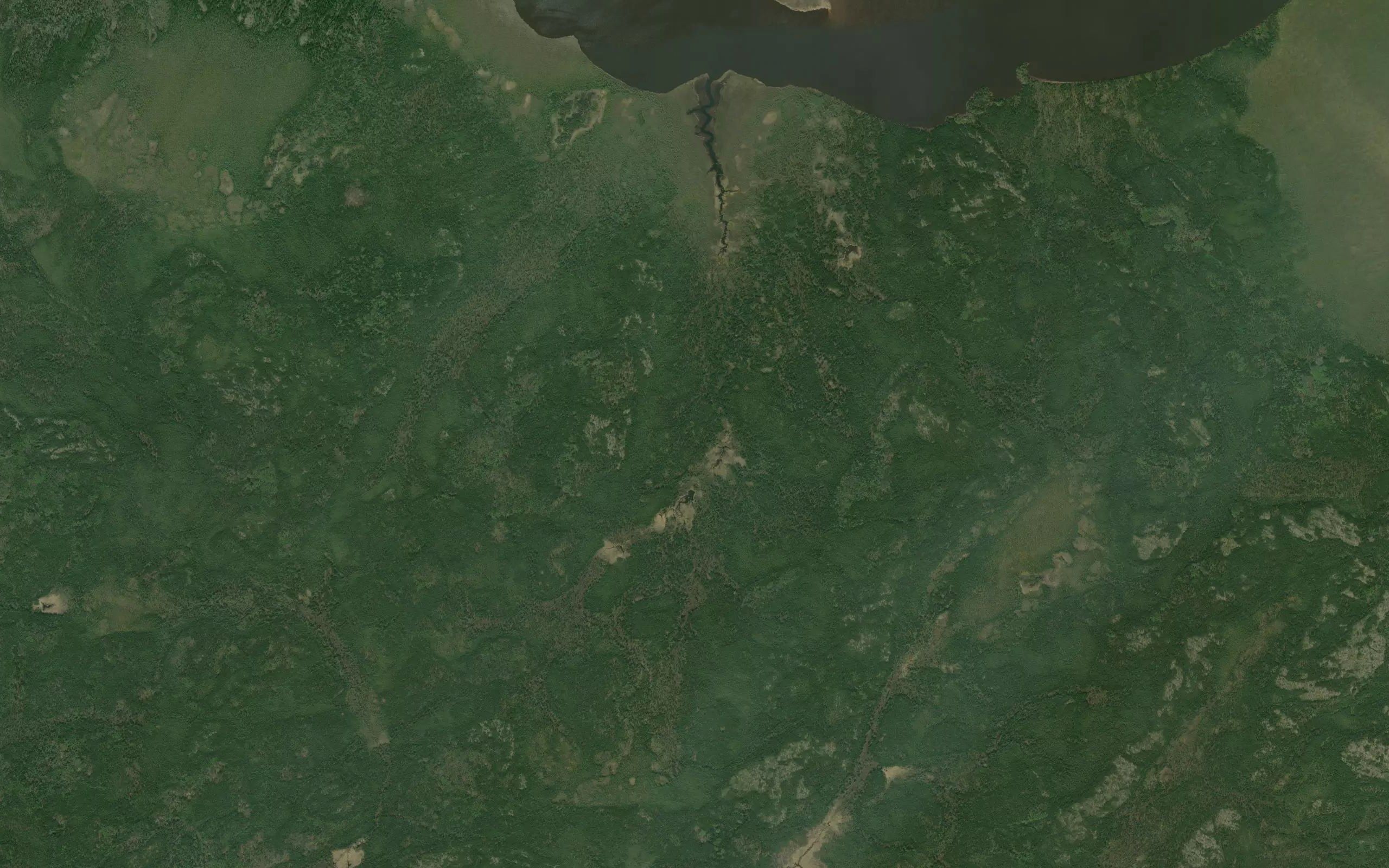 Dawson River