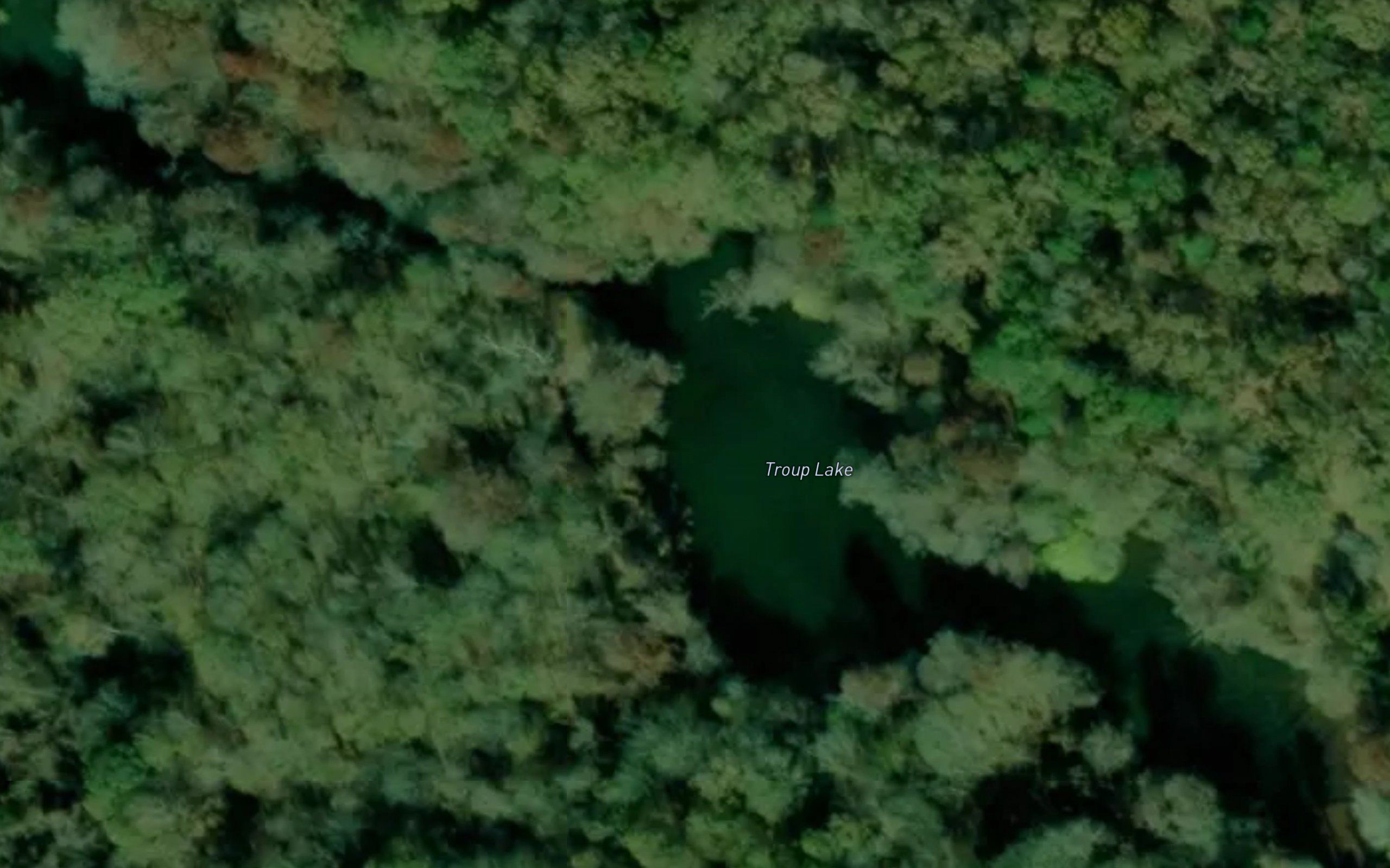 Troup Lake