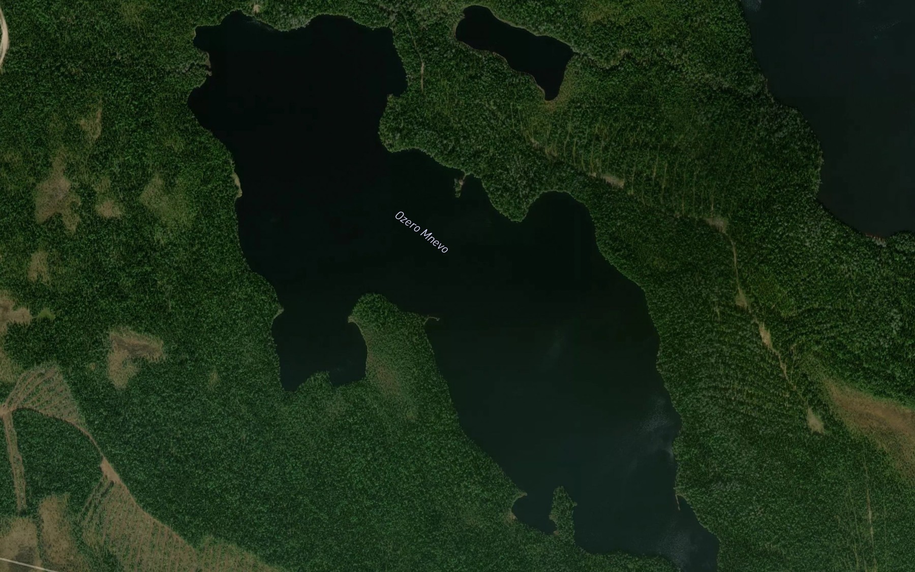 Satellite map of the Ozero Mnevo