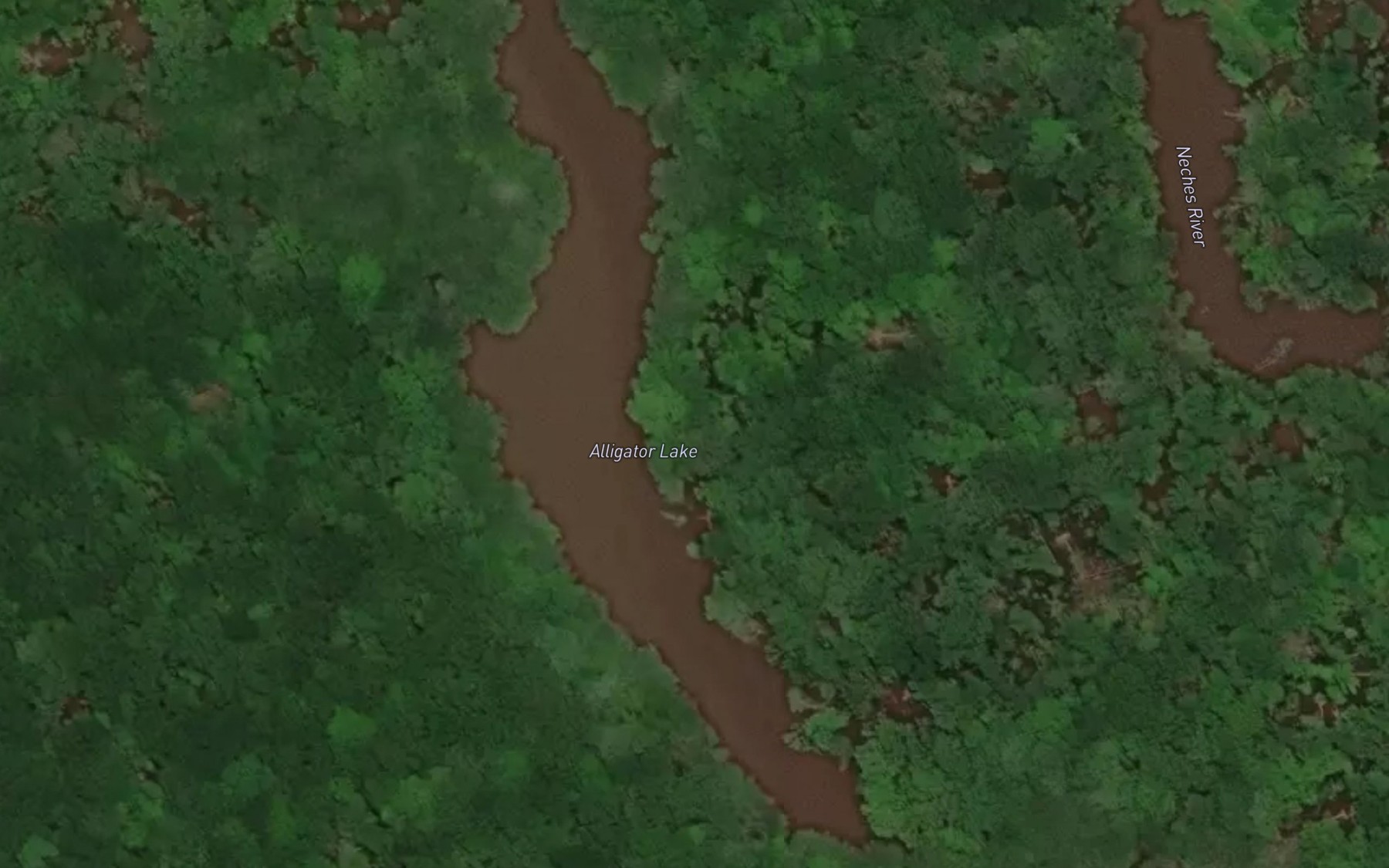 Satellite map of the Alligator Lake