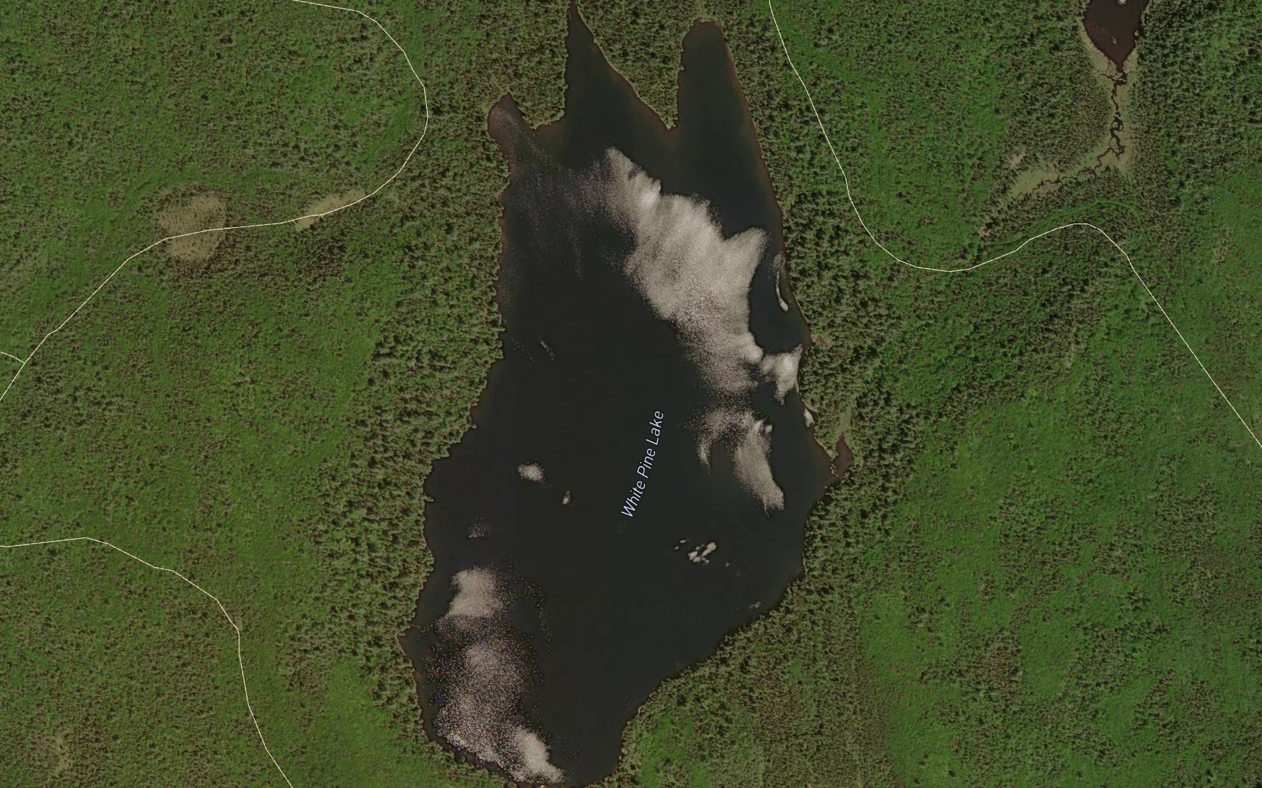 White Pine Lake