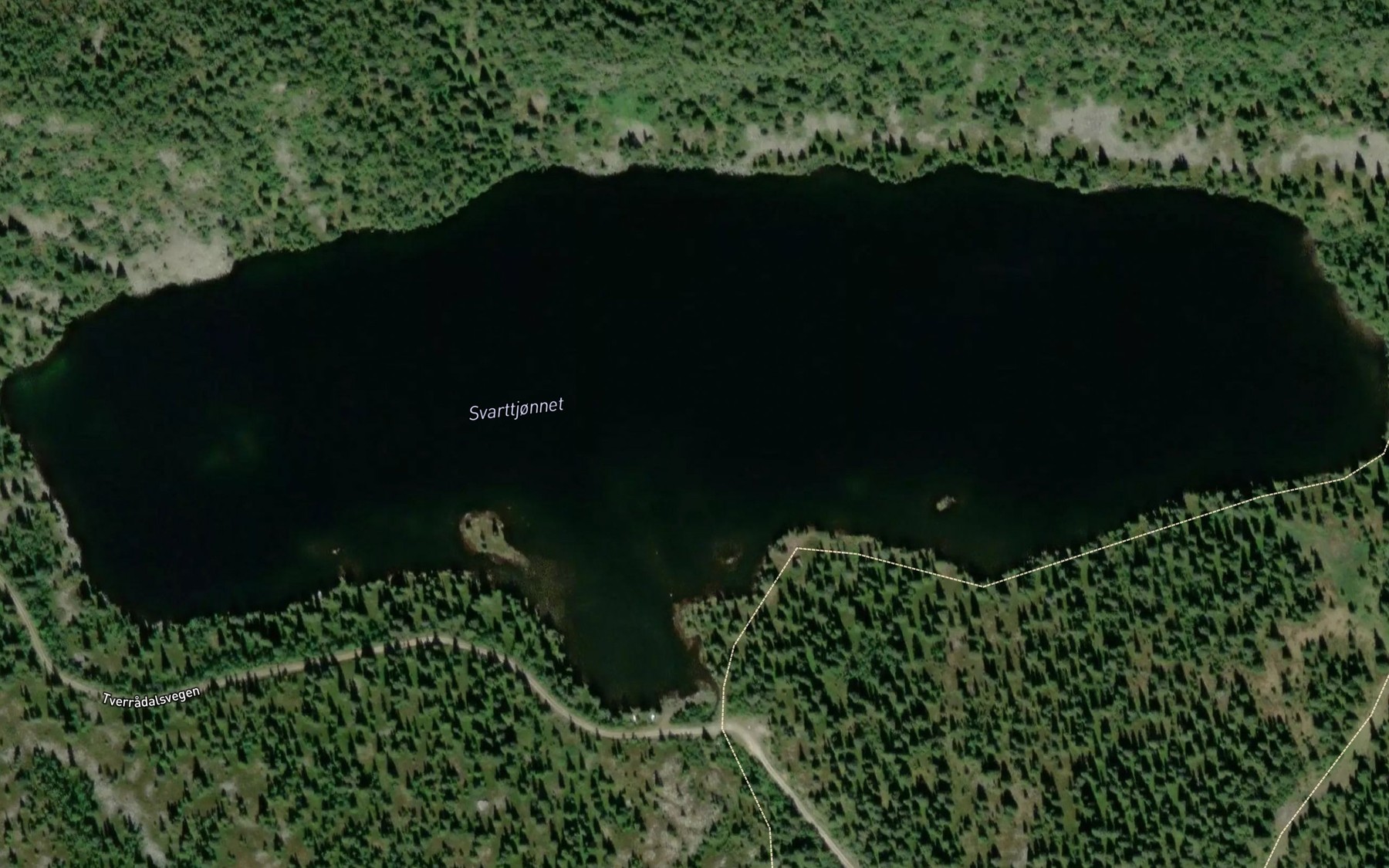 Satellite map of the Svarttjonnet