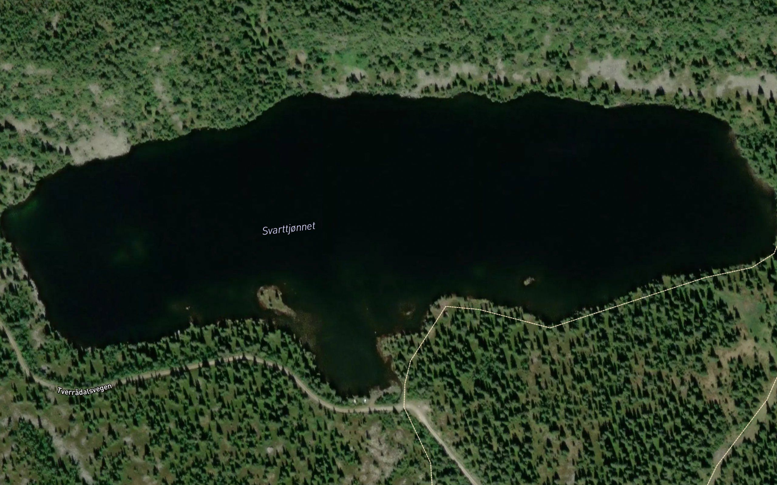 Svarttjonnet