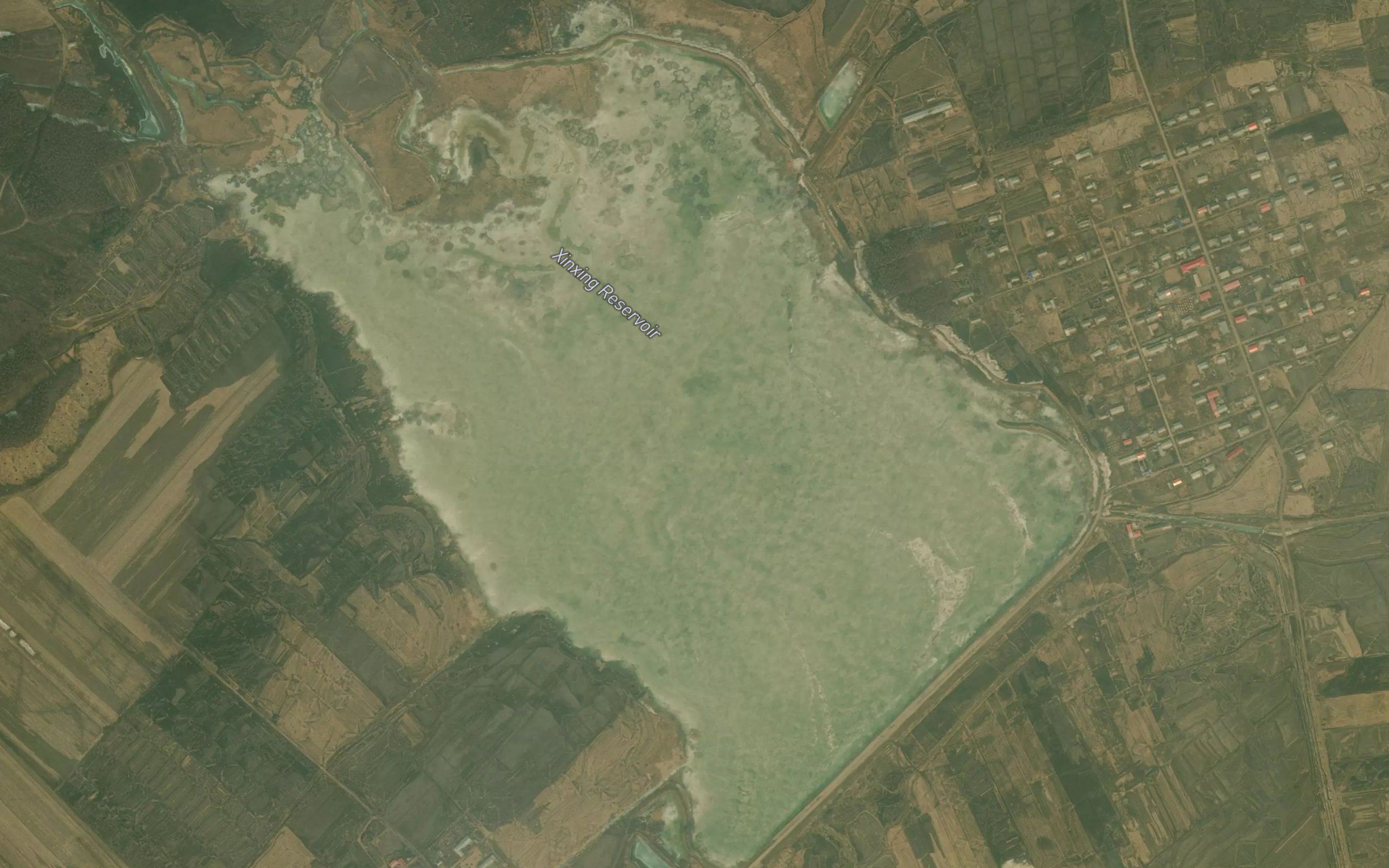 Xinxing Shuiku