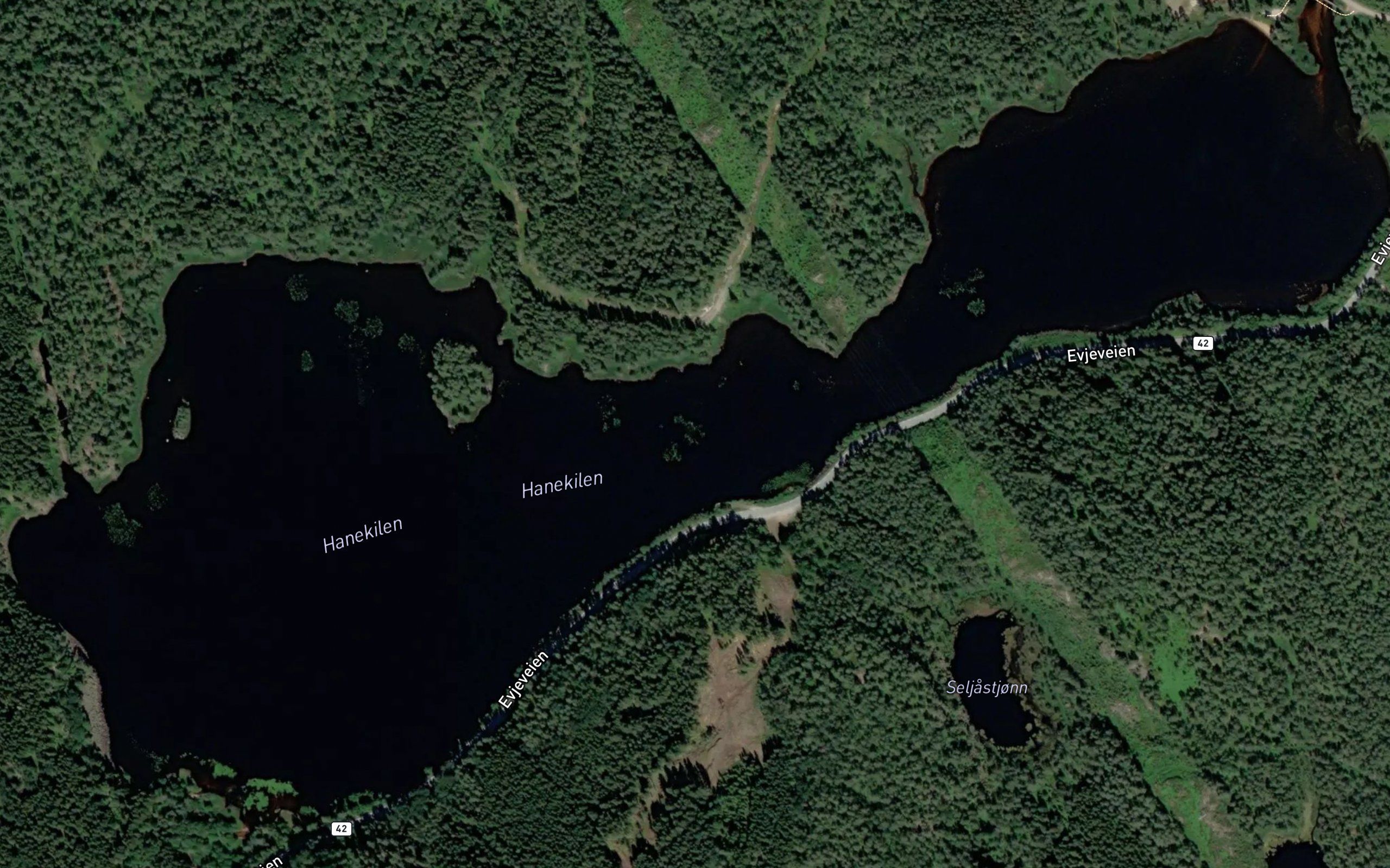Hanekilen