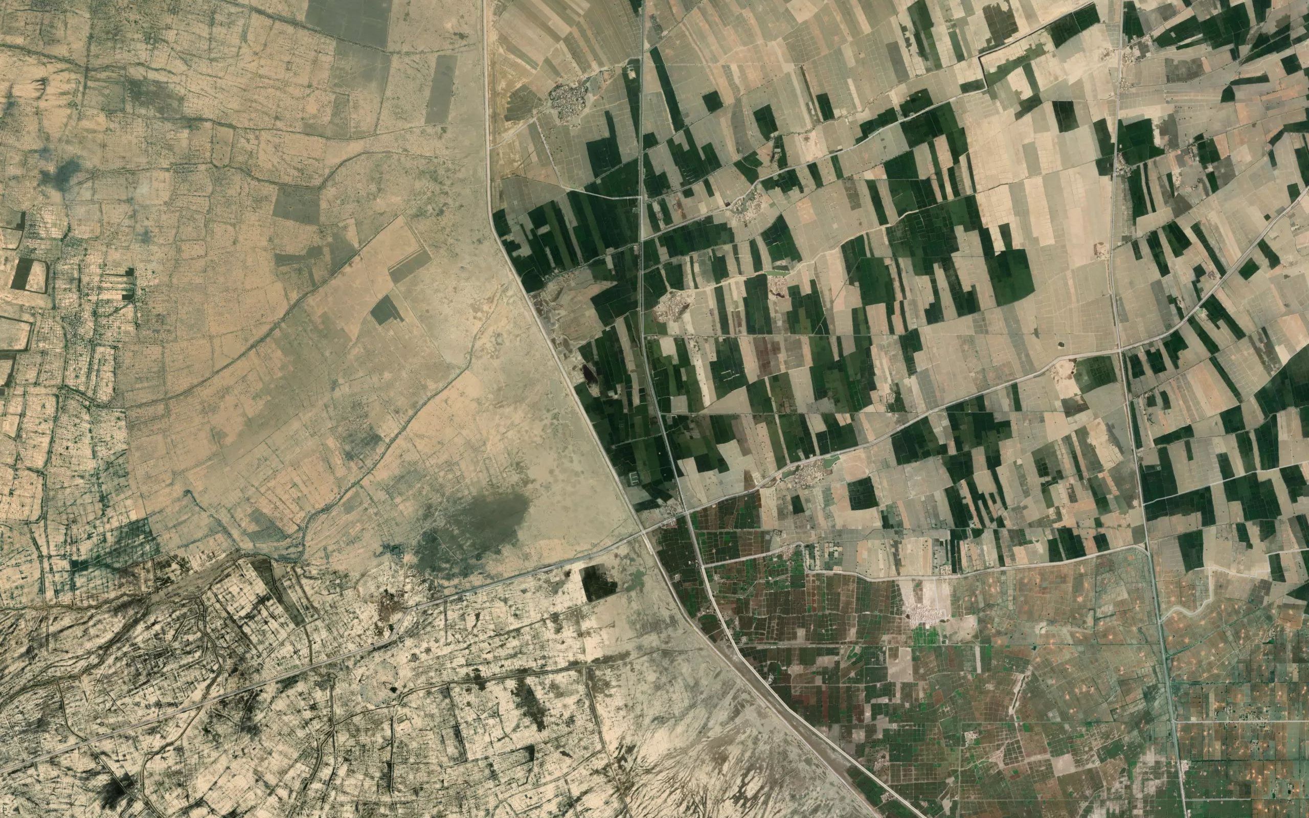 Bigodero Distributary