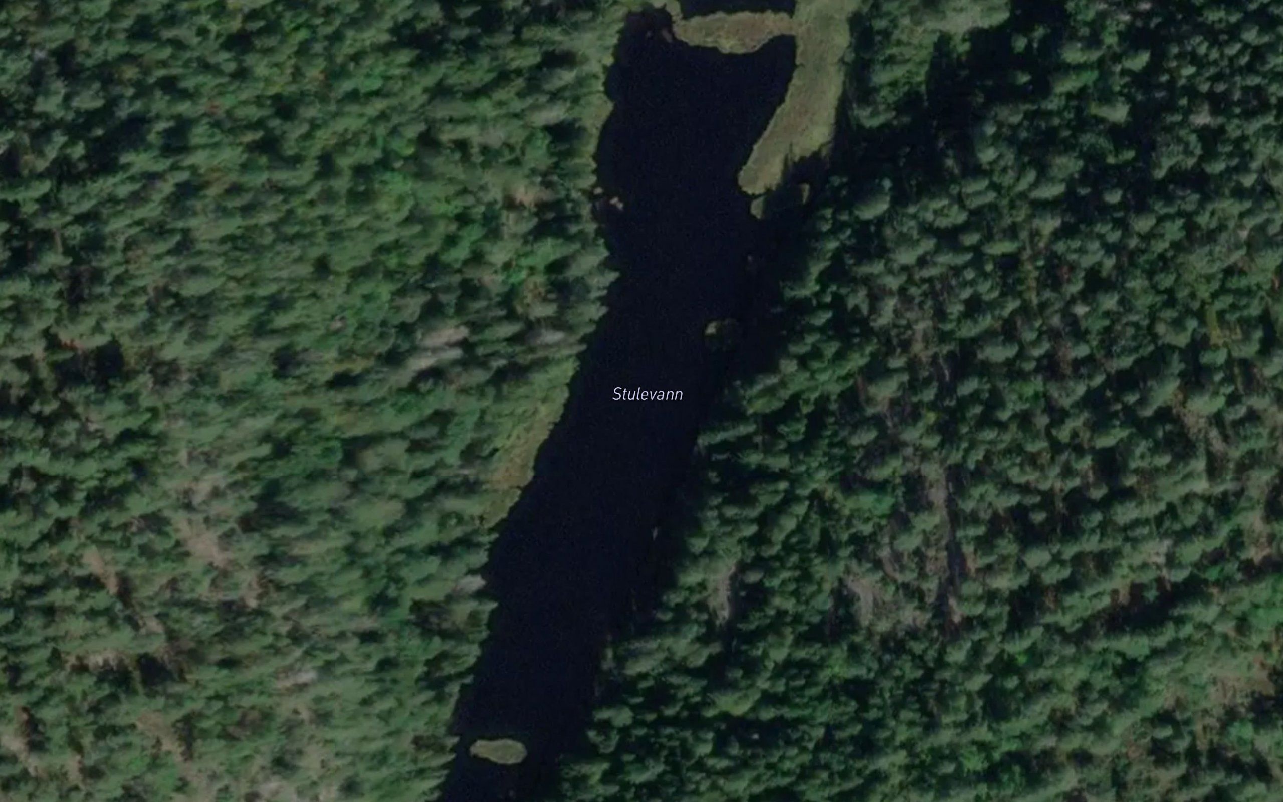 Stulevann