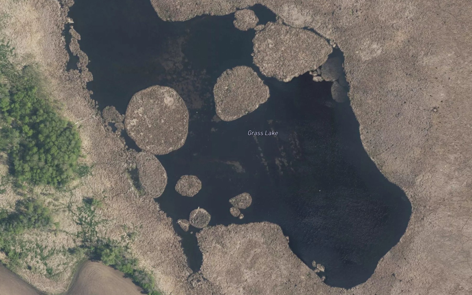 Satellite map of the Grass Lake