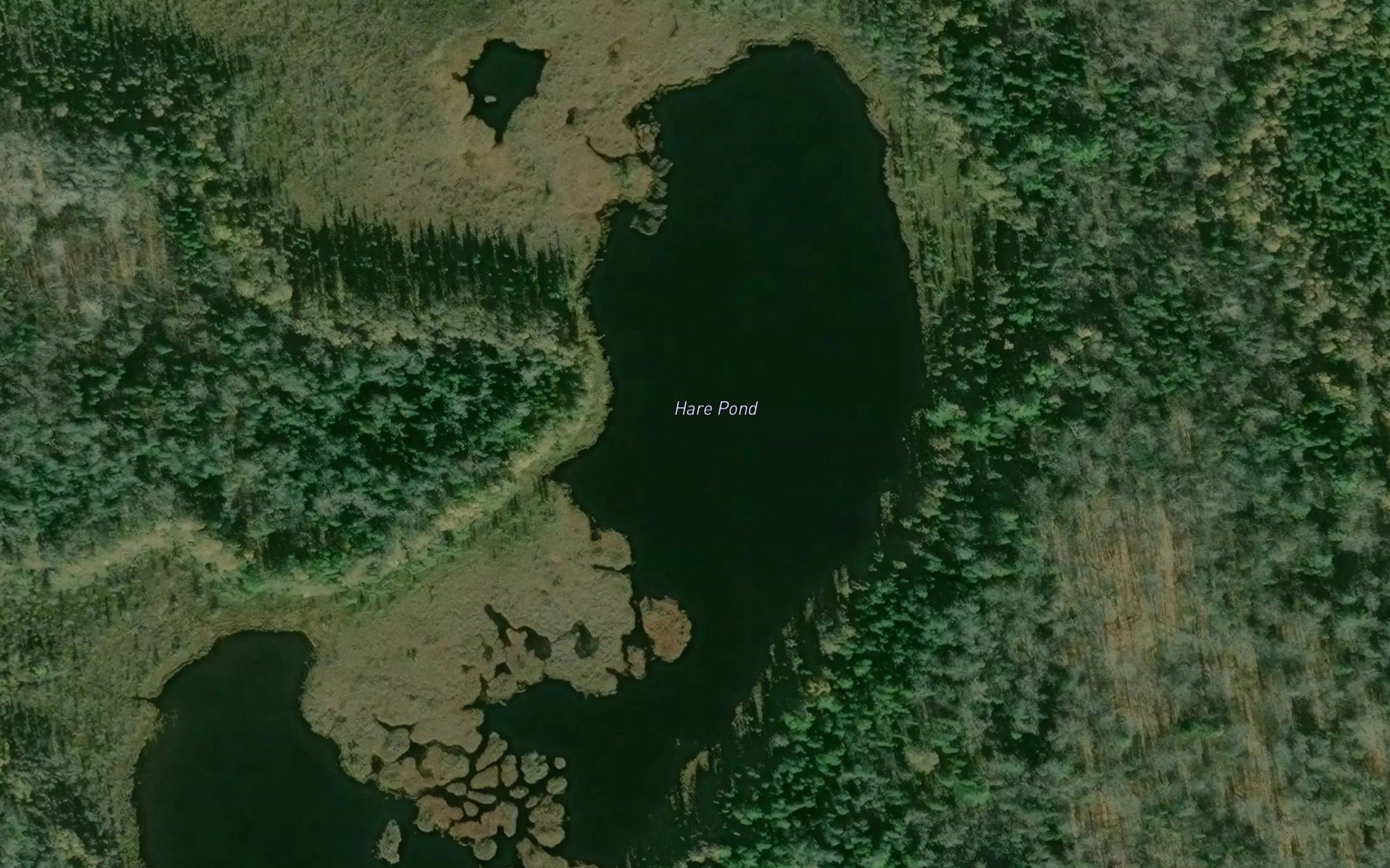 Hare Pond
