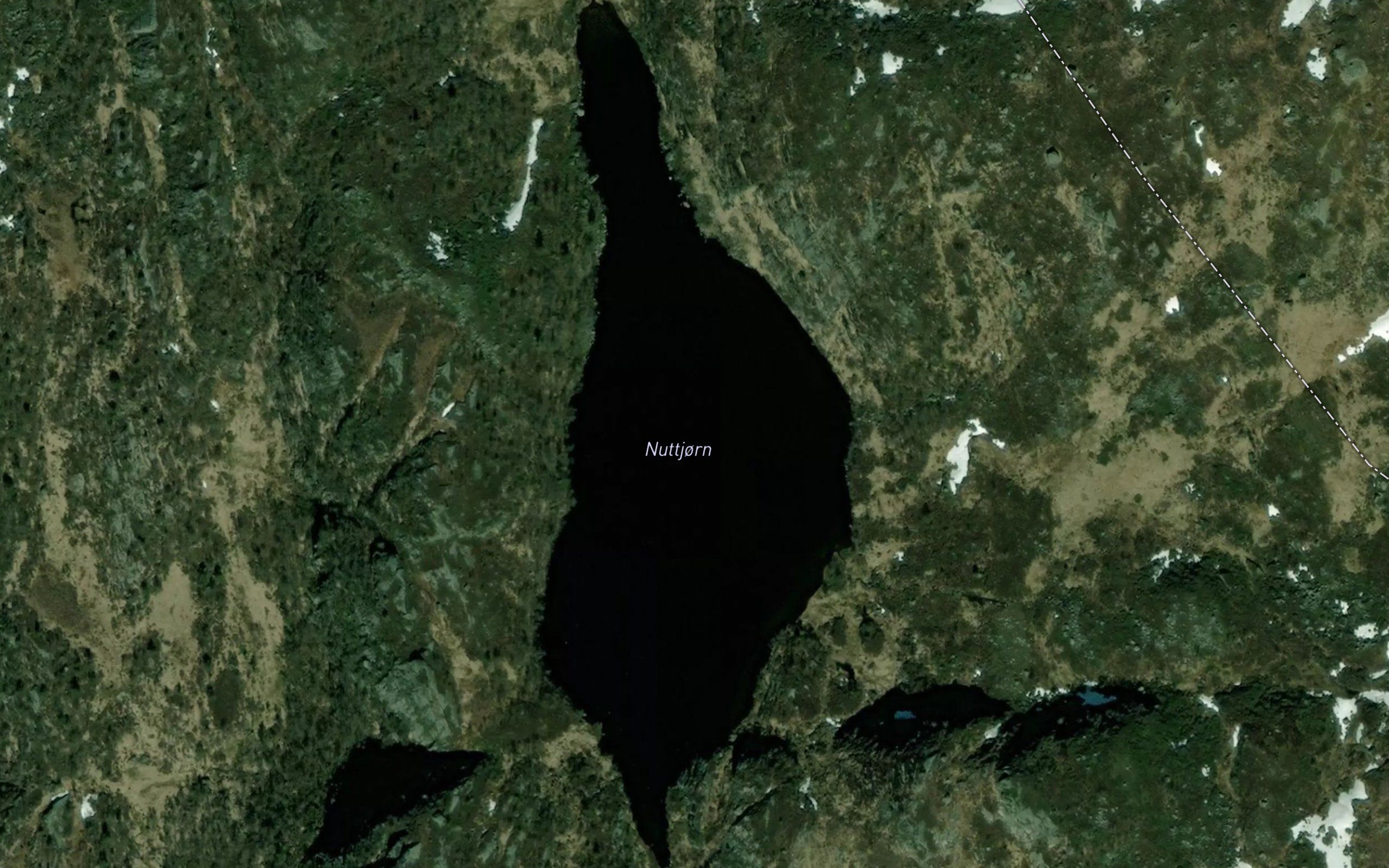 Nuttjorn