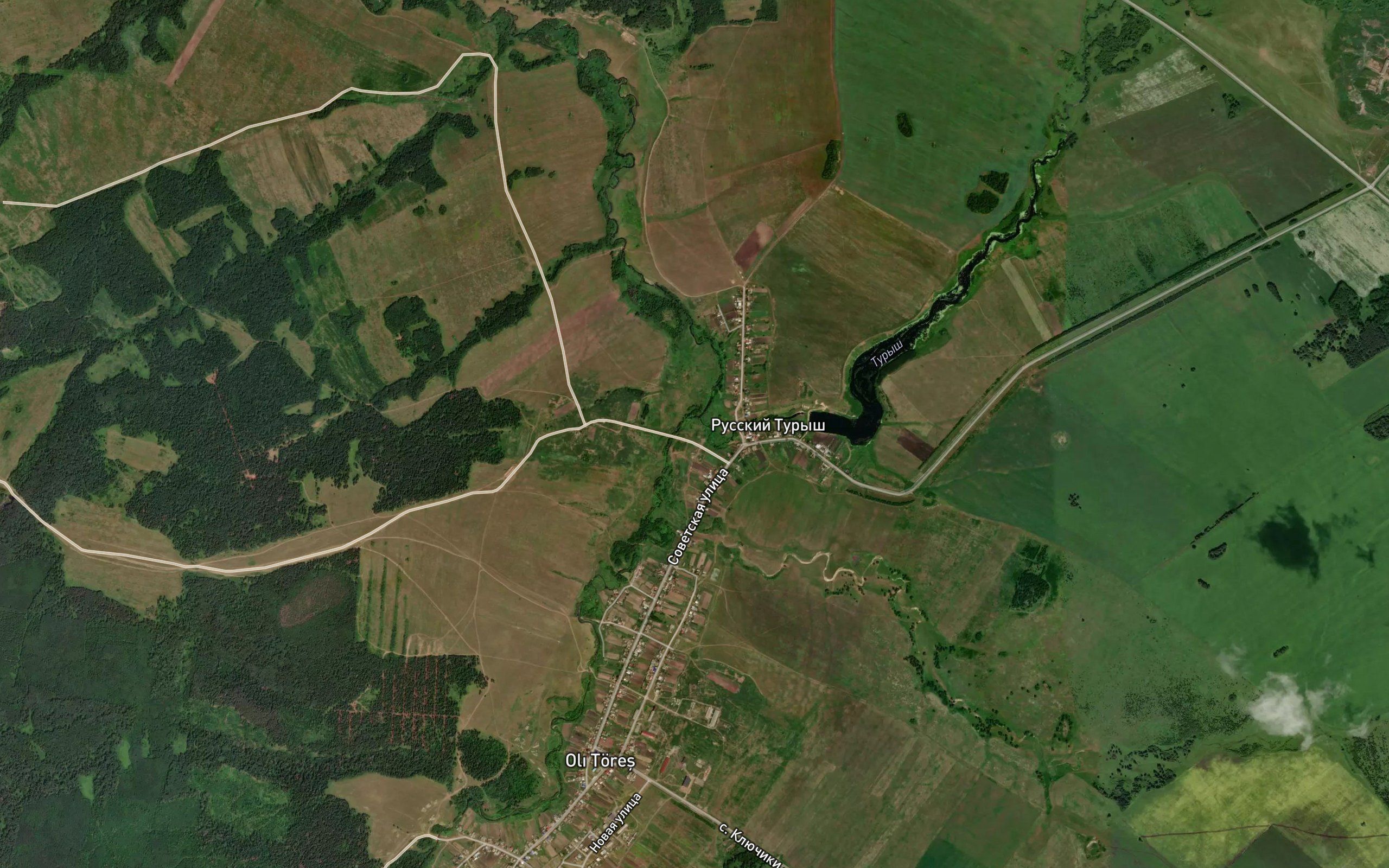 Turysh