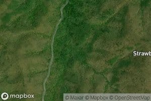 White Oak Stamp Branch