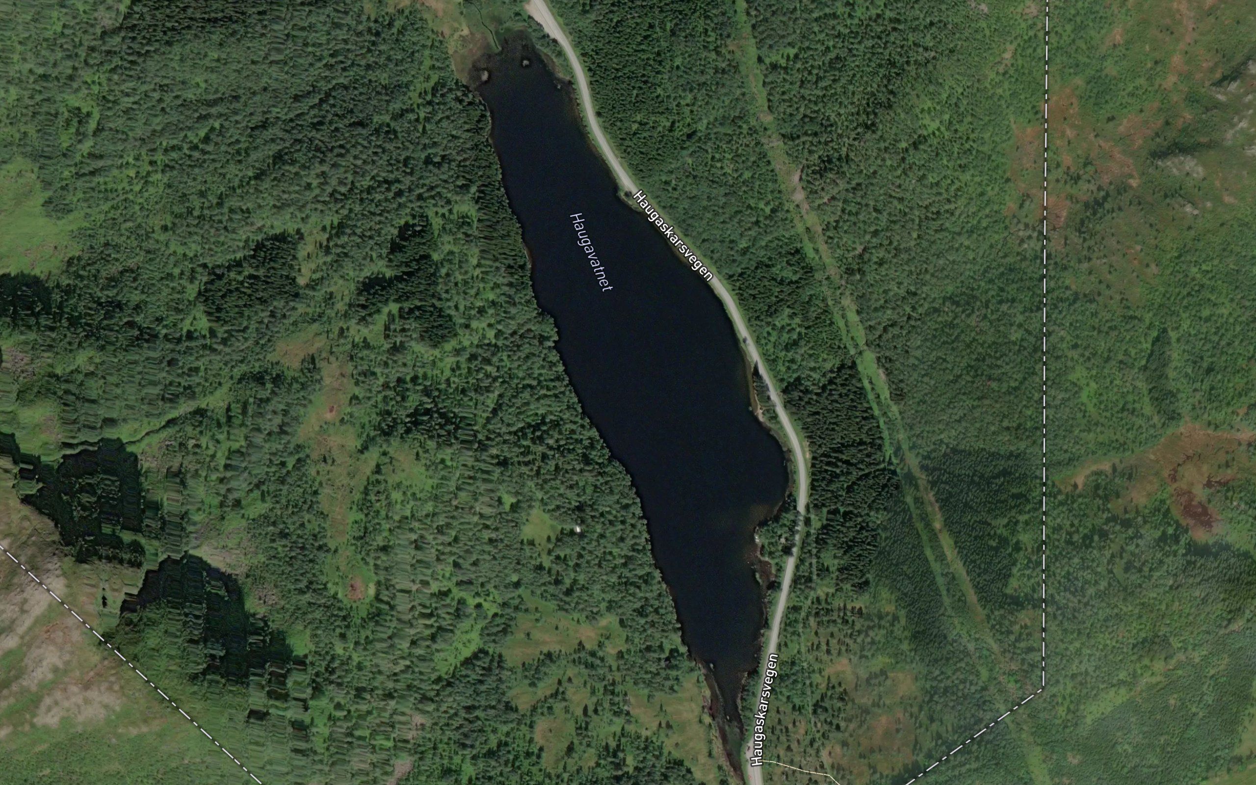 Haugavatnet