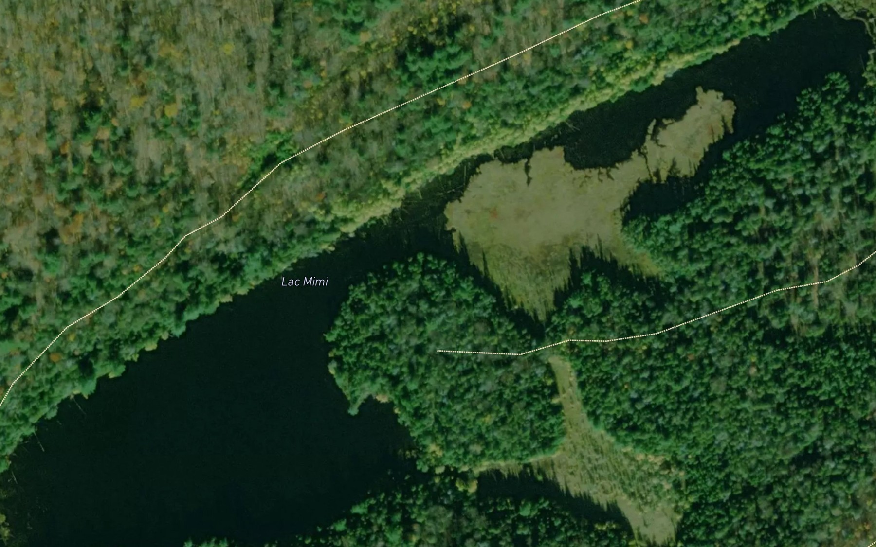 Satellite map of the Lac Mimi