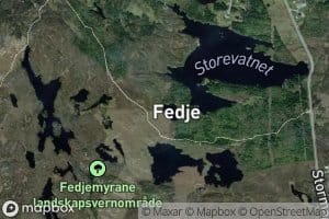 Storevasstjorni