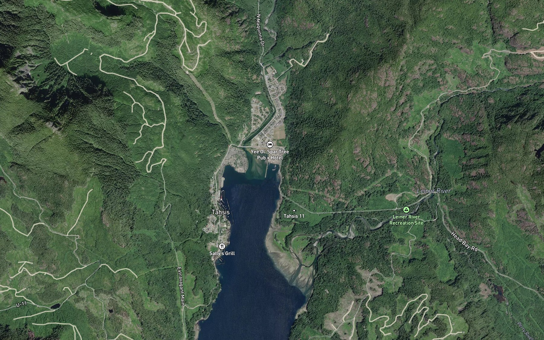 Satellite map of the Tahsis Seaplane Base