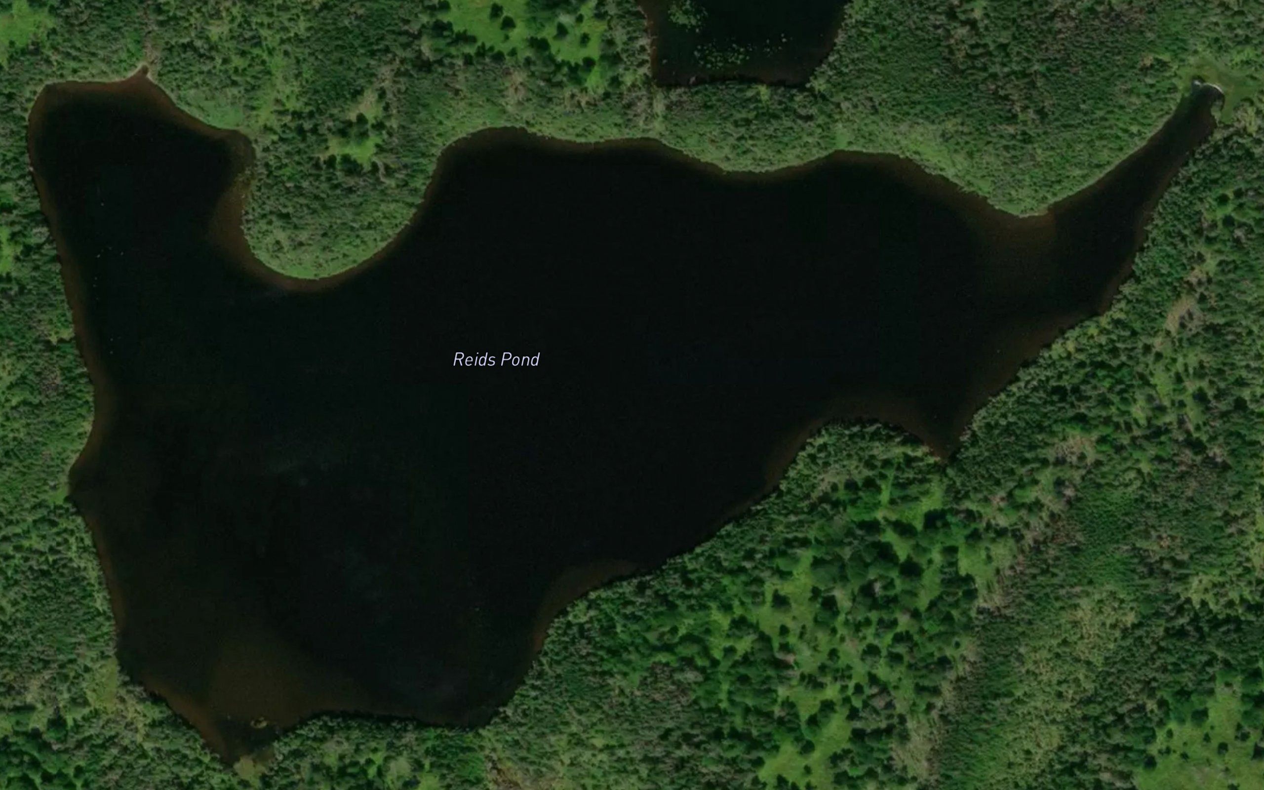 Reids Pond