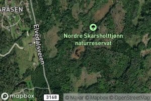 Nordre Skarsholttjonn