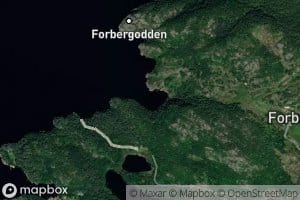 Forbergvika