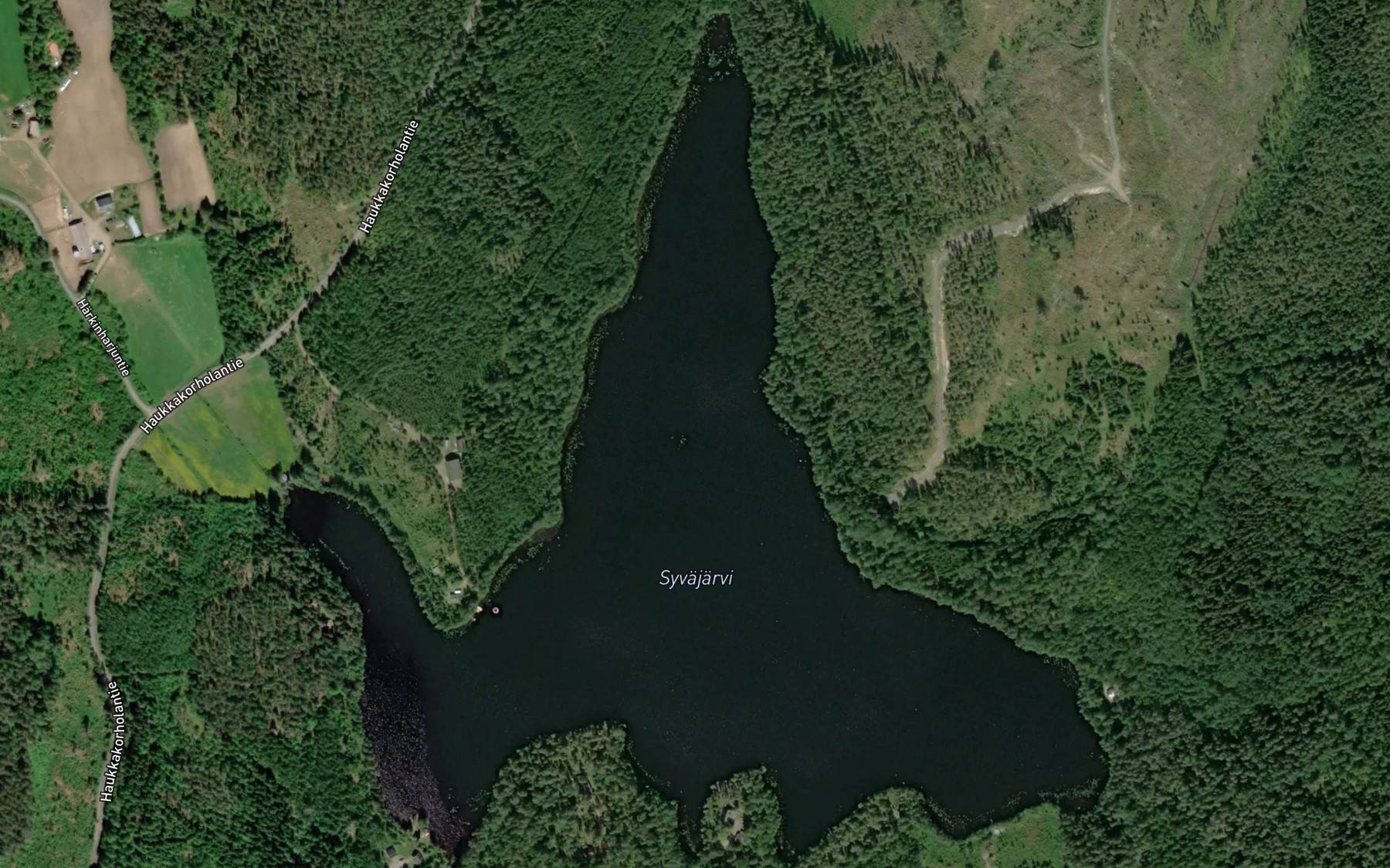 Satellite map of the Syvajarvi