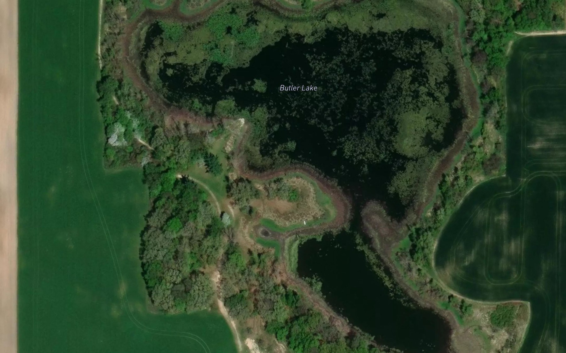 Satellite map of the Butler Lake