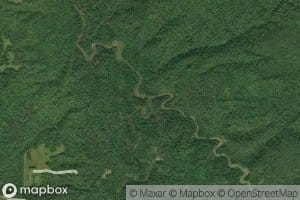 Trout Creek