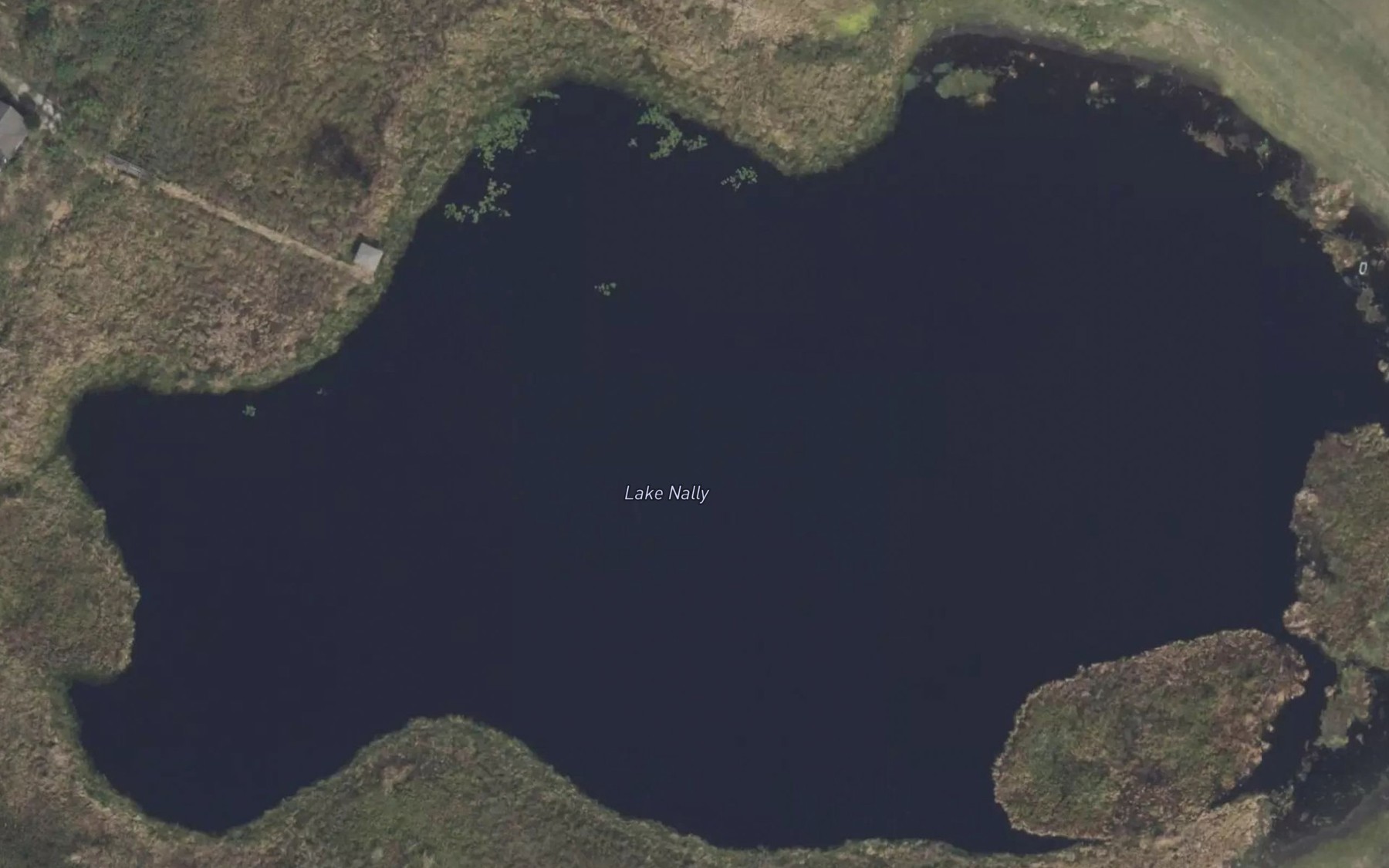 Satellite map of the Lake Nally