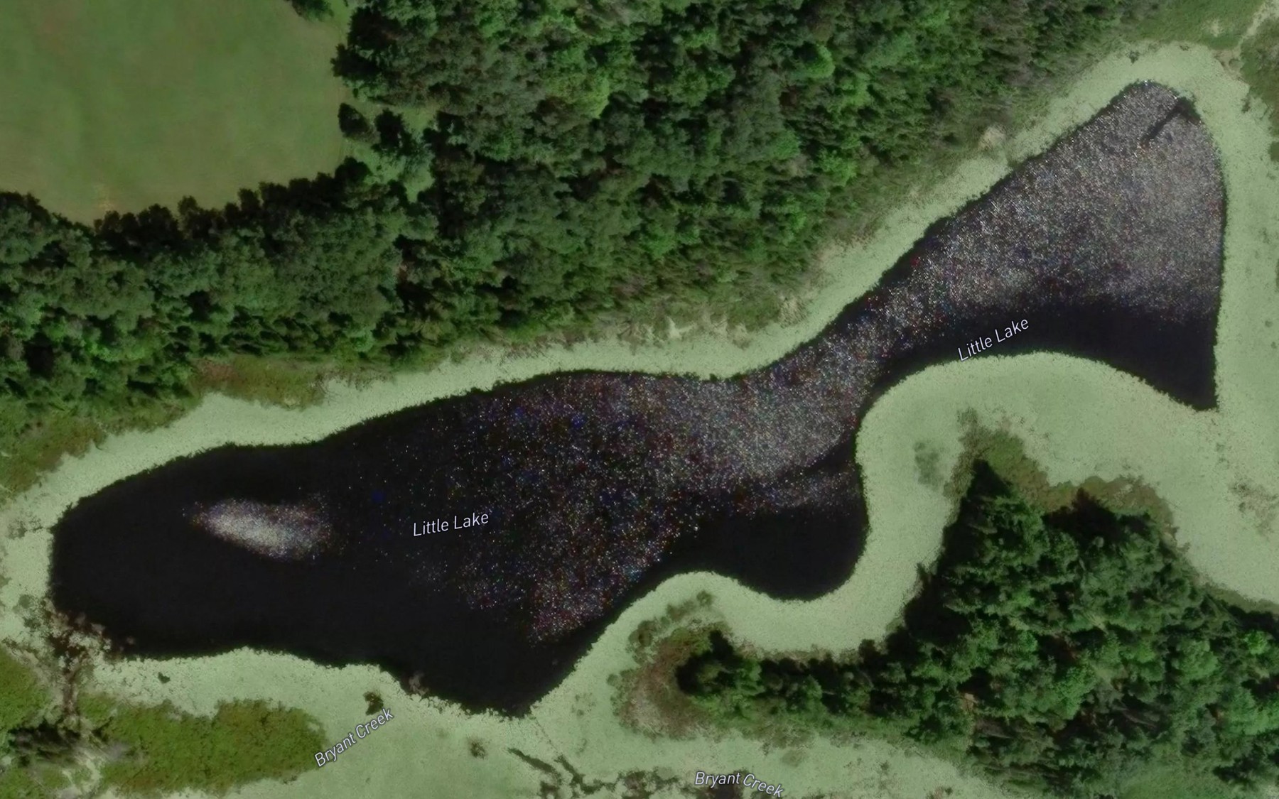 Satellite map of the Little Lake