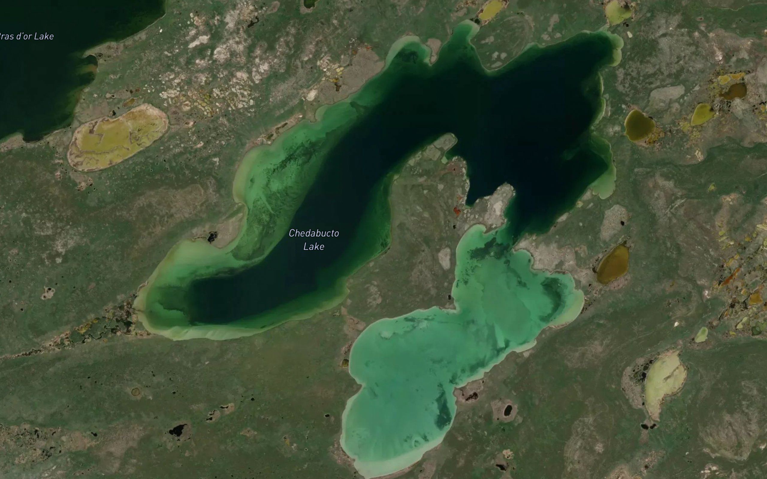 Chedabucto Lake