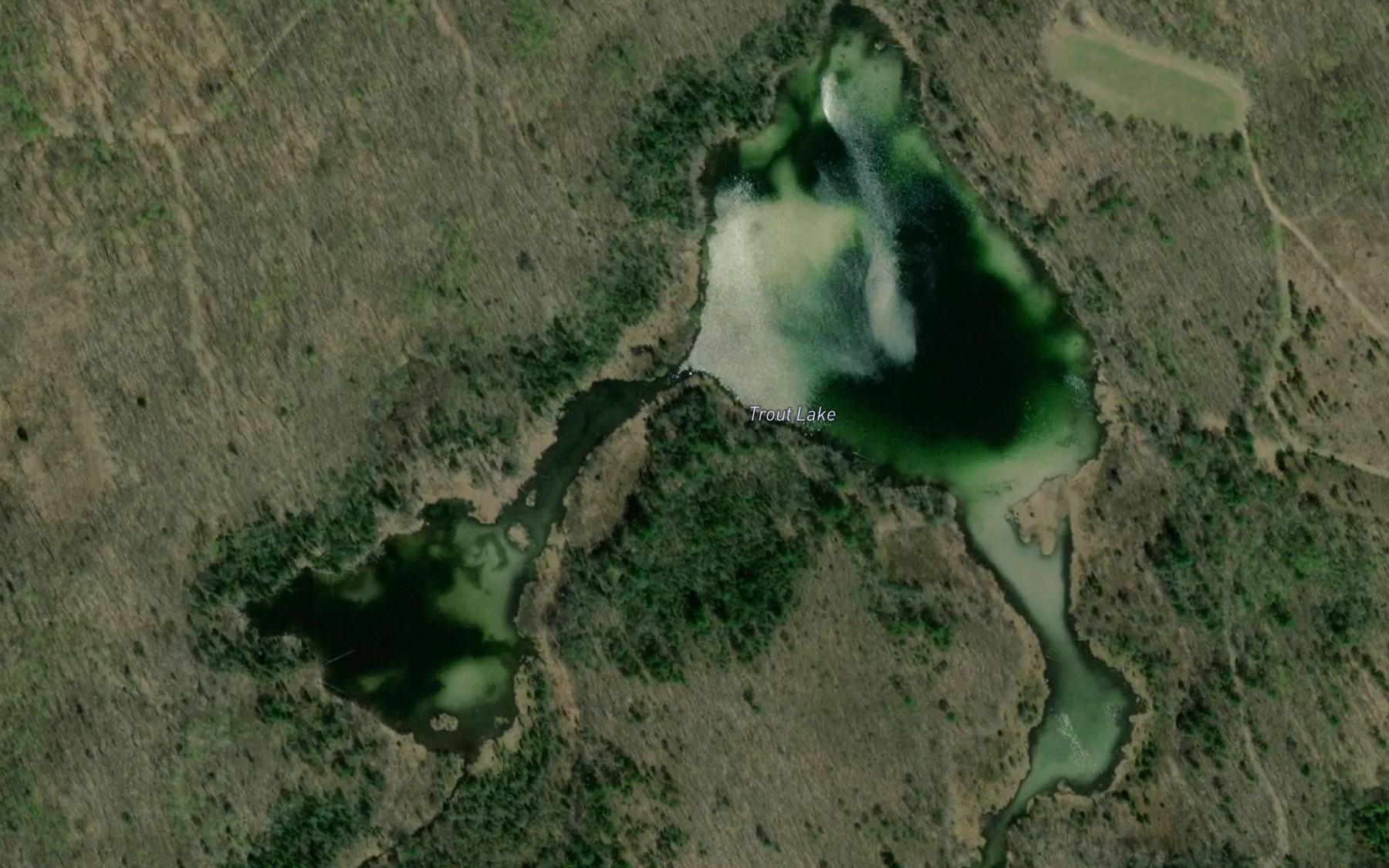 Satellite map of the Trout Lake