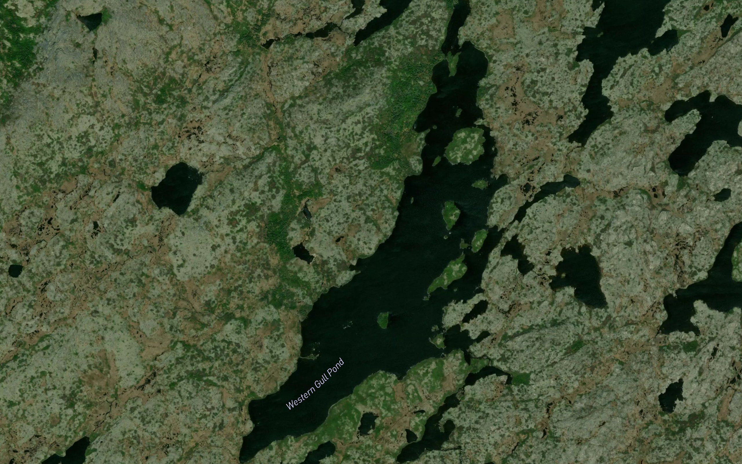 Western Gull Pond