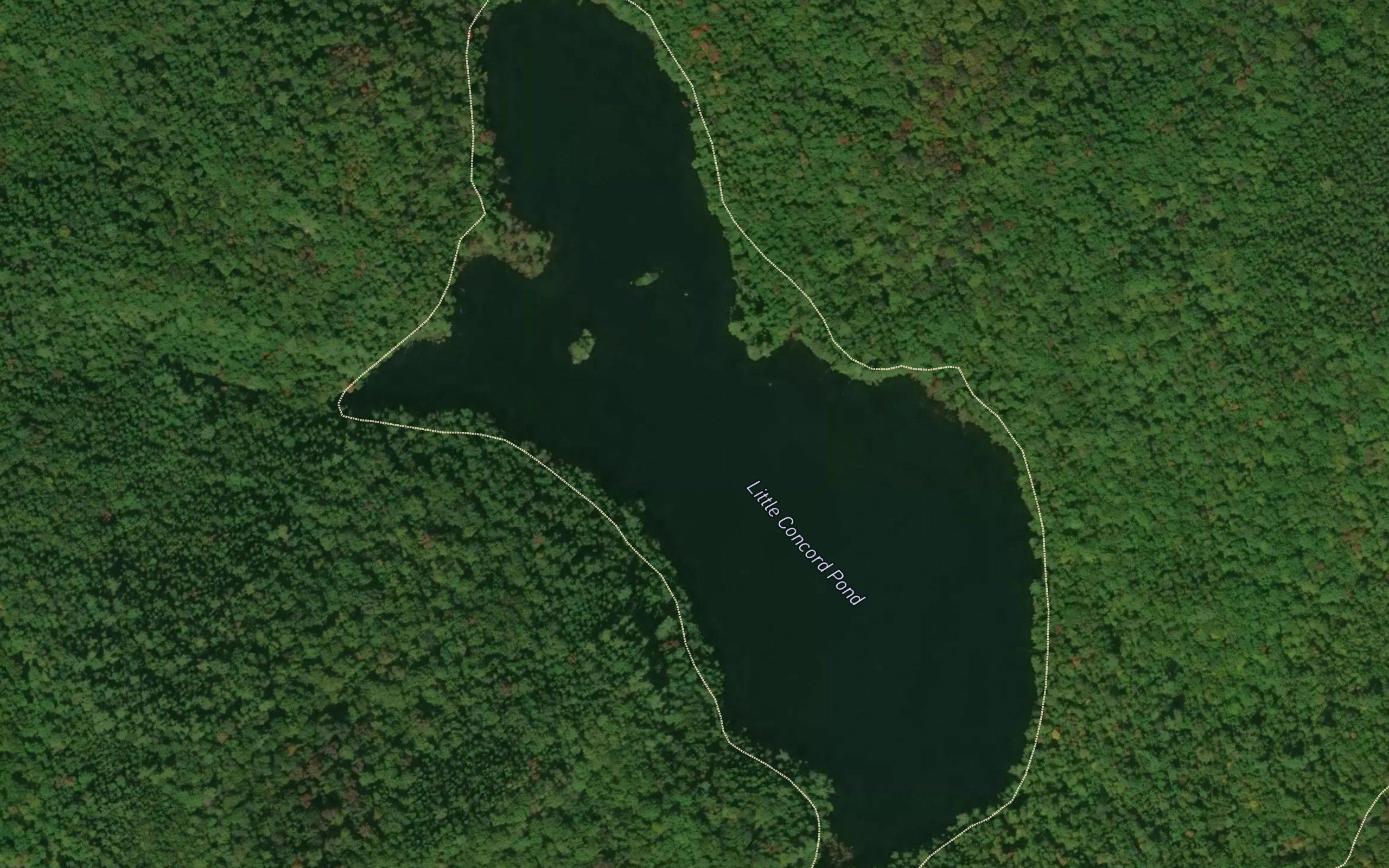 Little Concord Pond