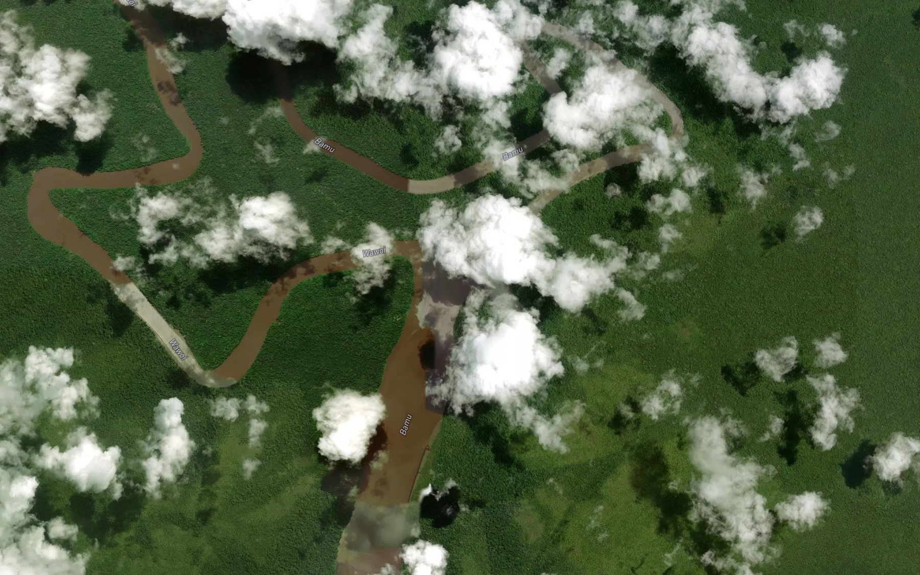 Satellite map of the Guavi River