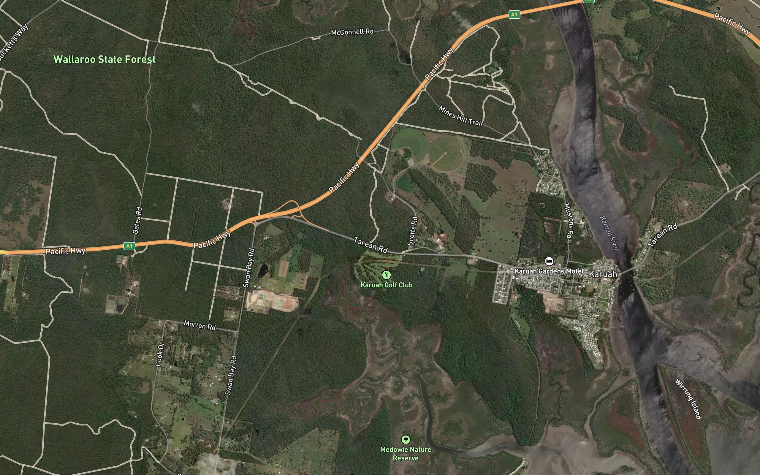 Reedy Creek