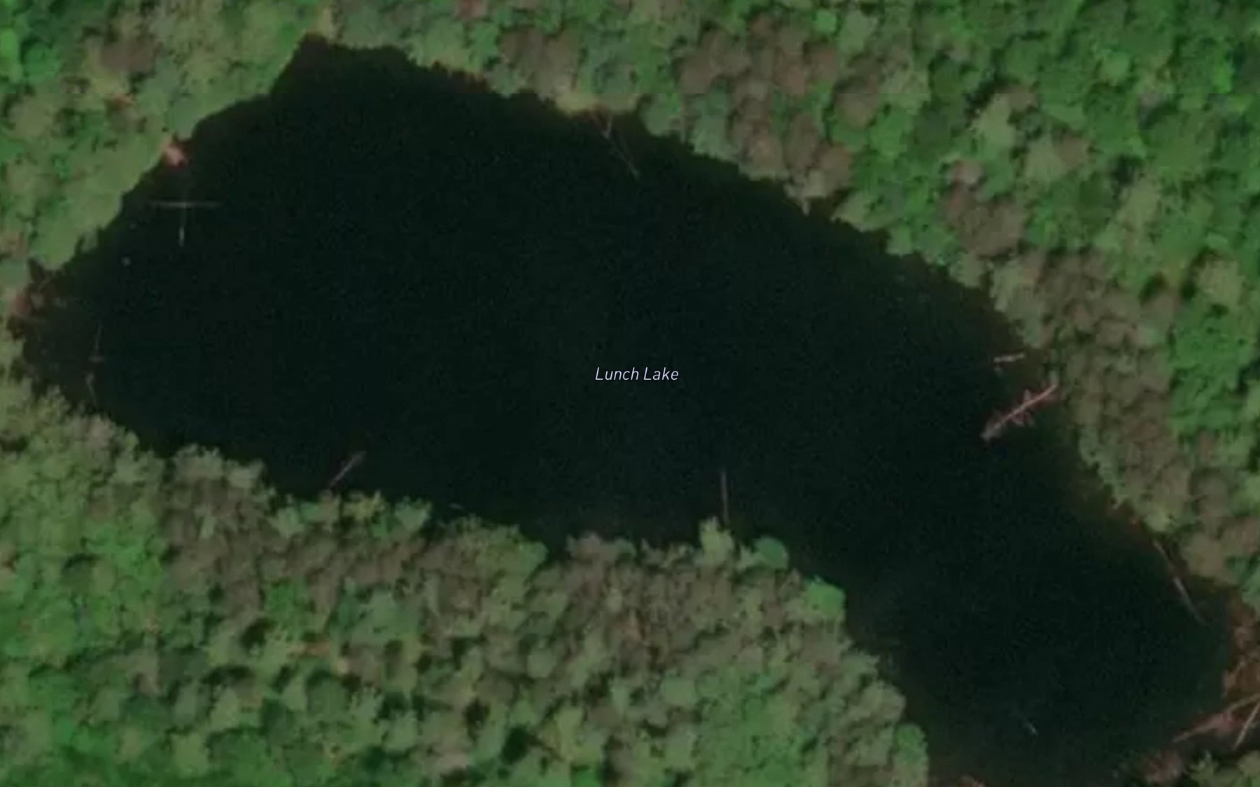 Satellite map of the Lunch Lake