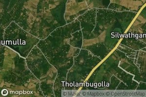 Singankuttigama Wewa