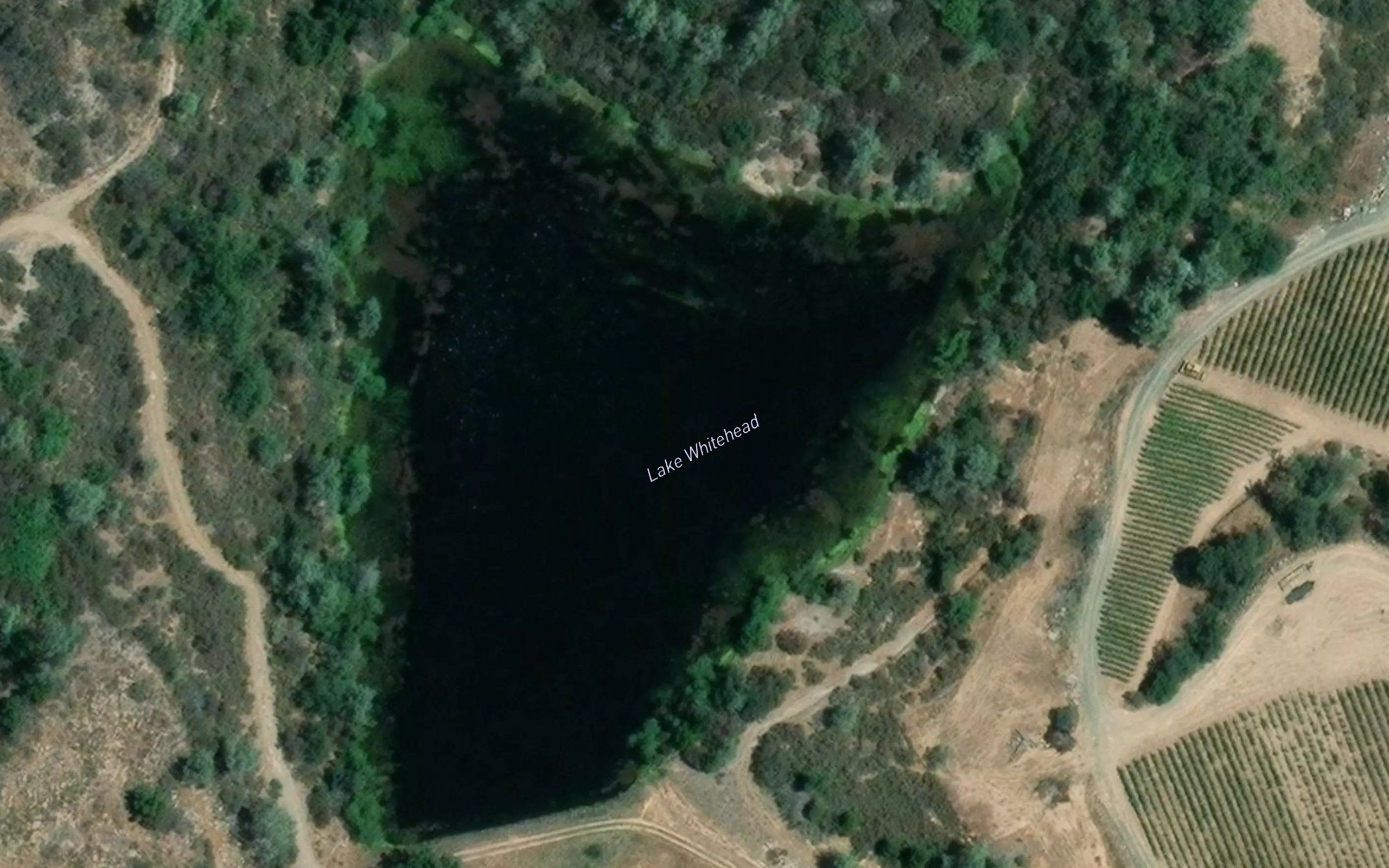 Lake Whitehead